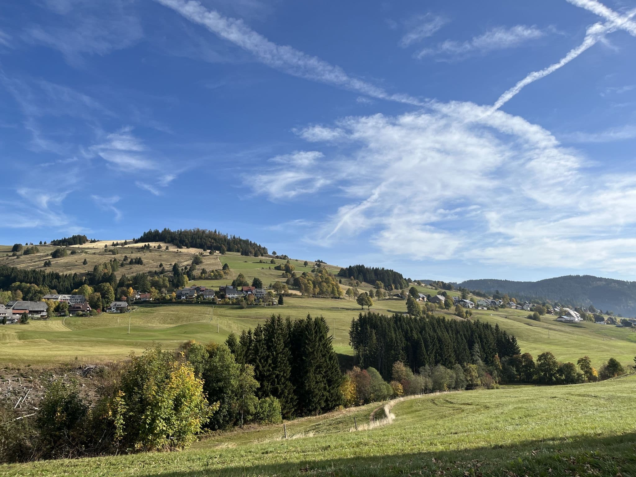 View