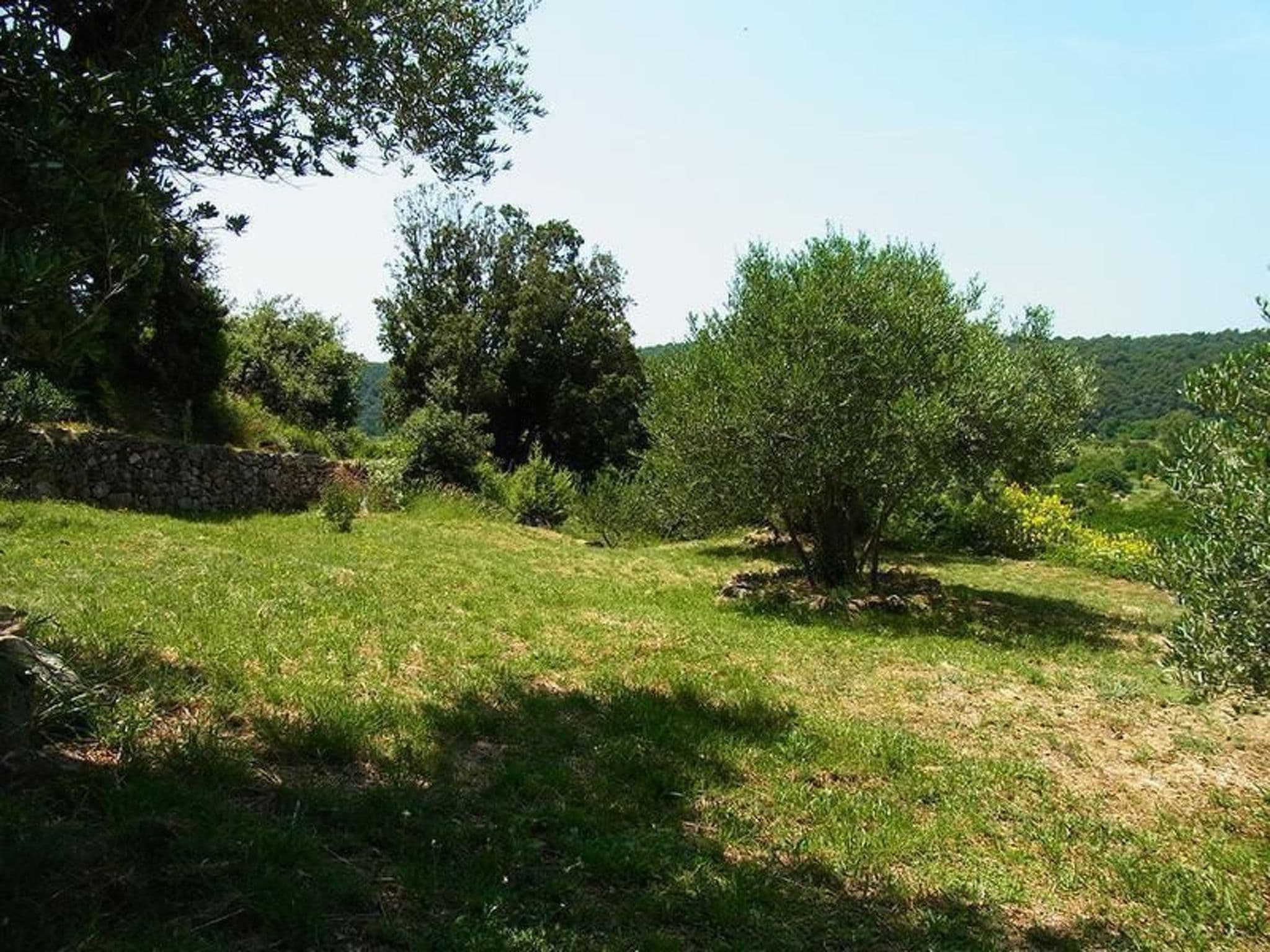 Gallery Image 13
