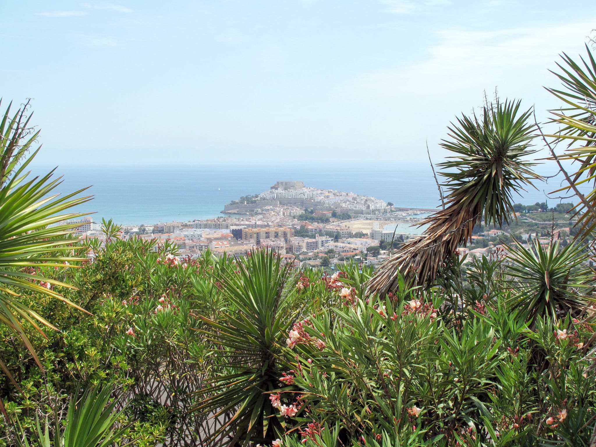 View