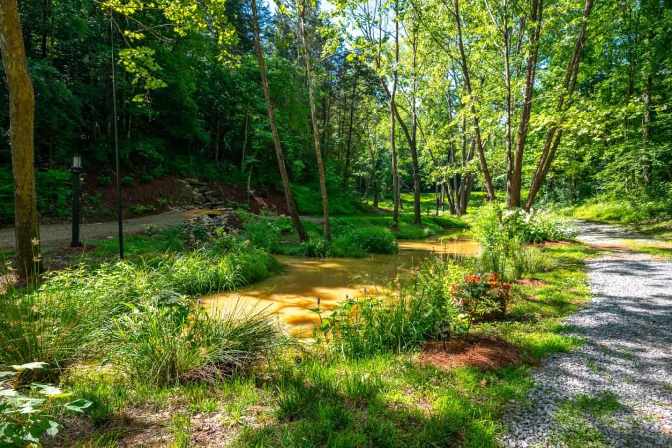 A beautiful scenery surrounds the farm!
