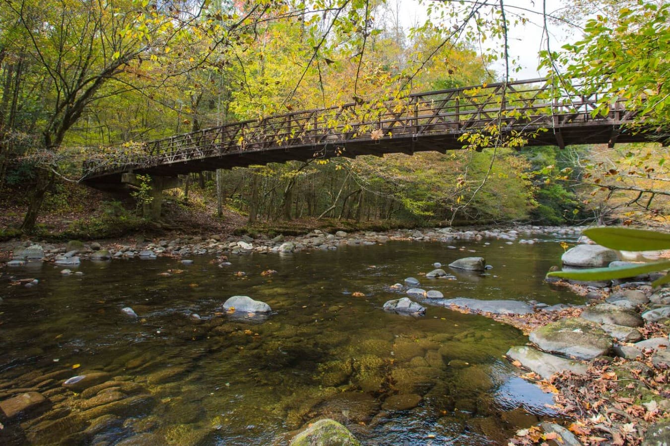 Enjoy all that the Smoky Mountains has to offer (this is not on the property)