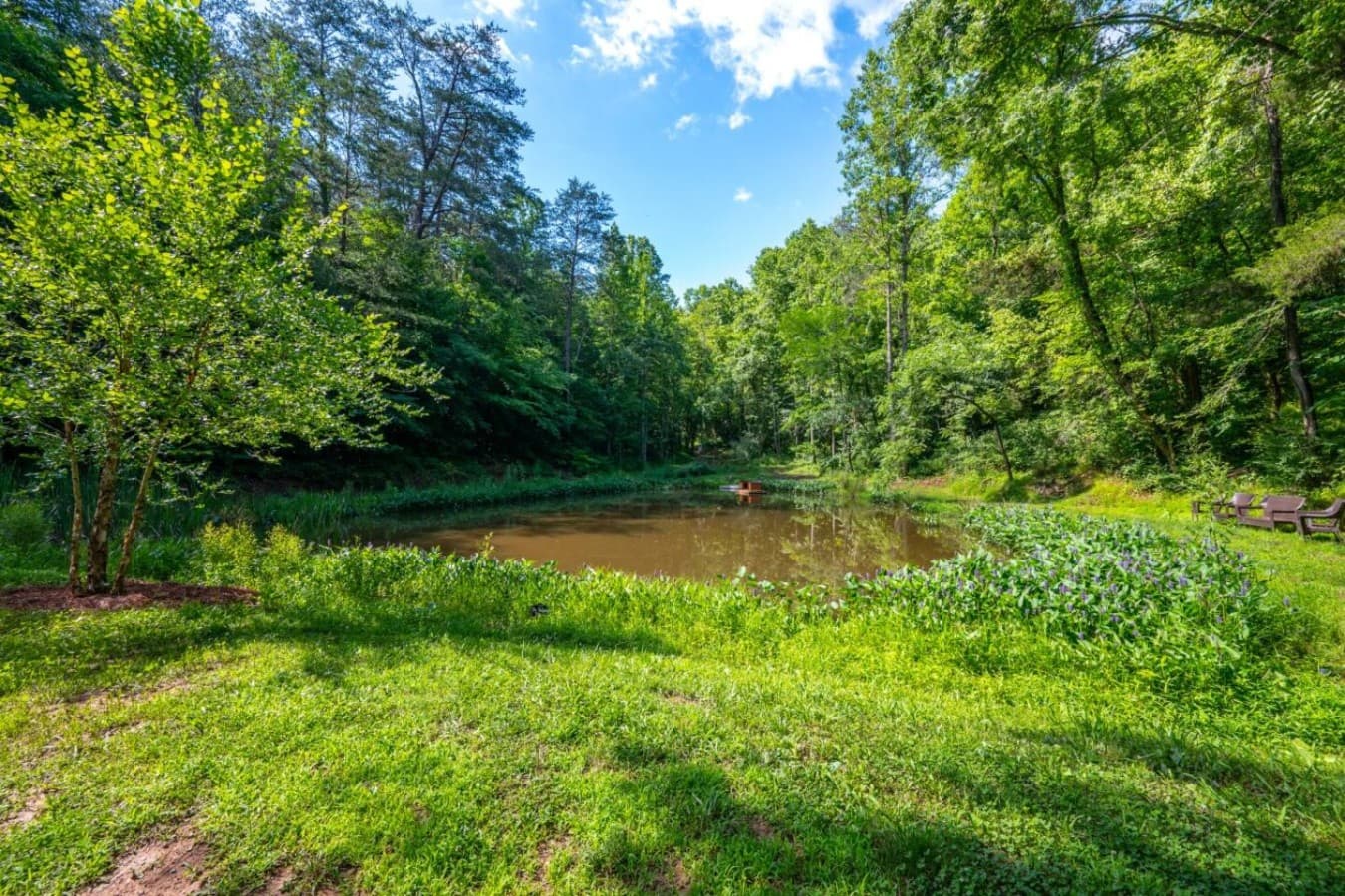Enjoy the pond at the farm with catch and release available!