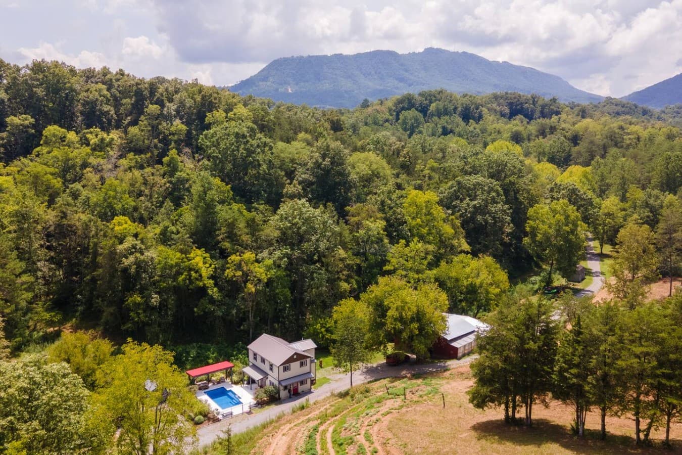 Wooded Bliss: A shot of the lush forest surrounding the farm, offering total privacy.