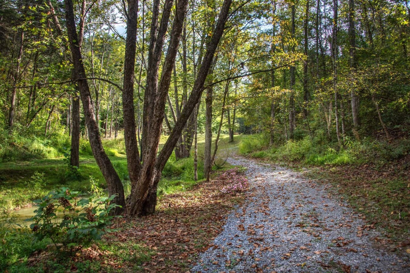 Walking Trails: Stroll through our private trails, bursting with seasonal colors.