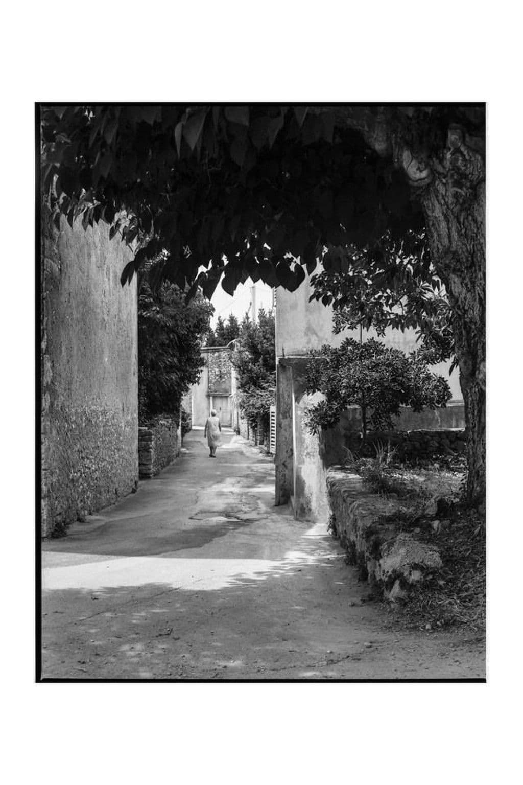 Gallery Image 72