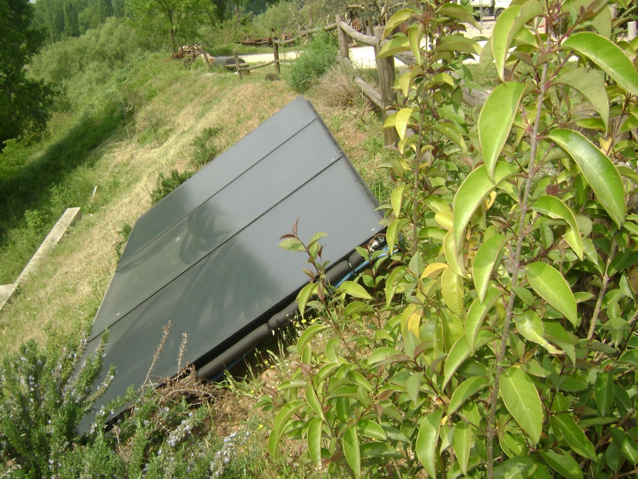 Gallery Image 17