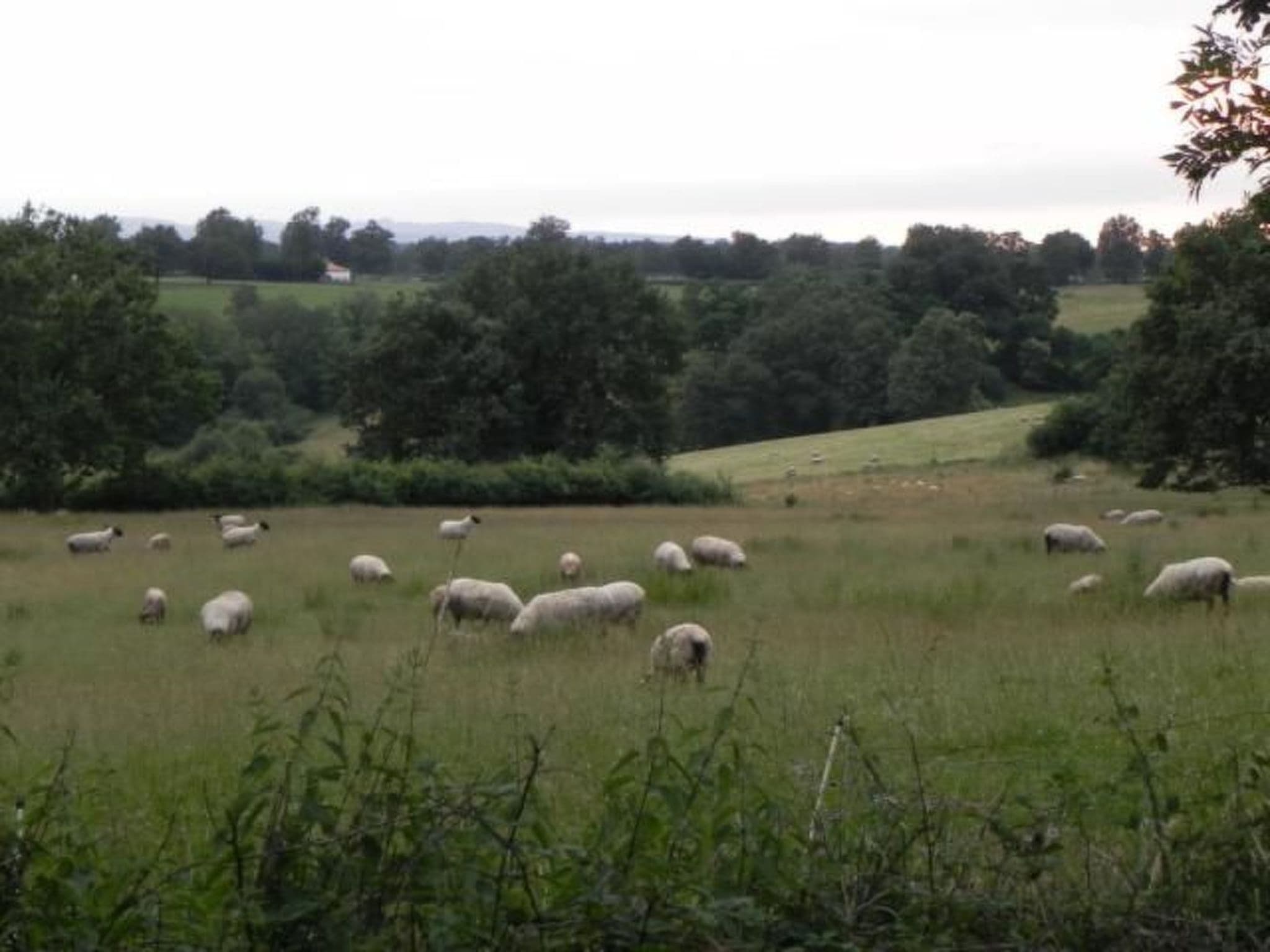 Gallery Image 13