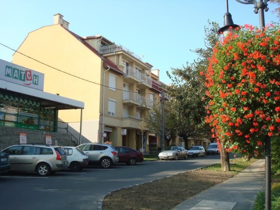 Large Image
