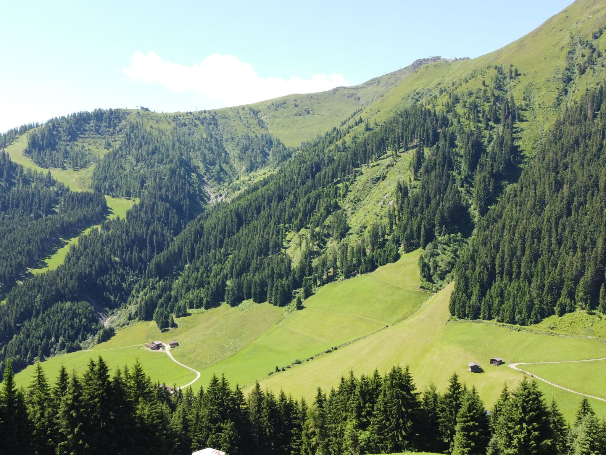 View