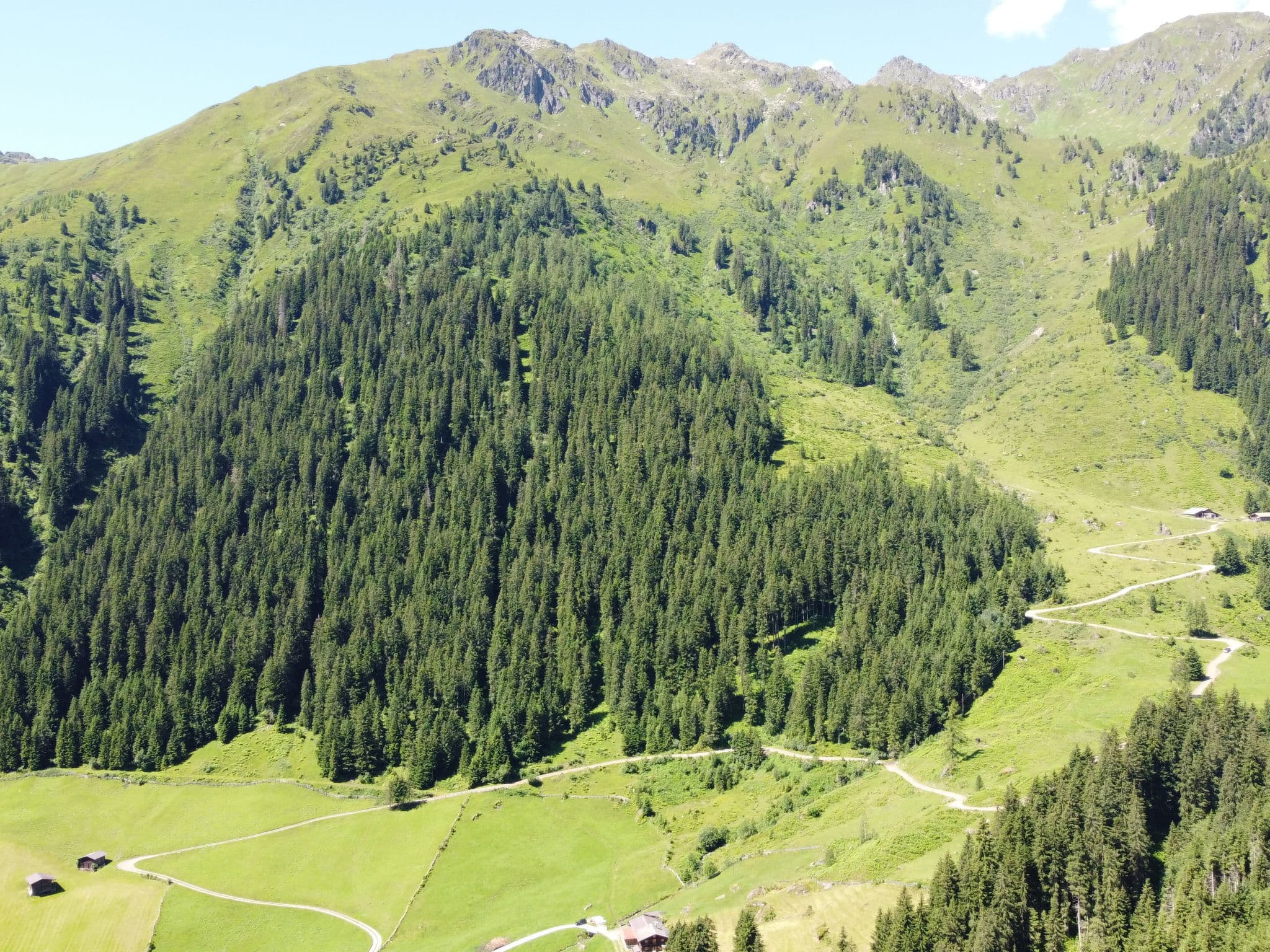 View
