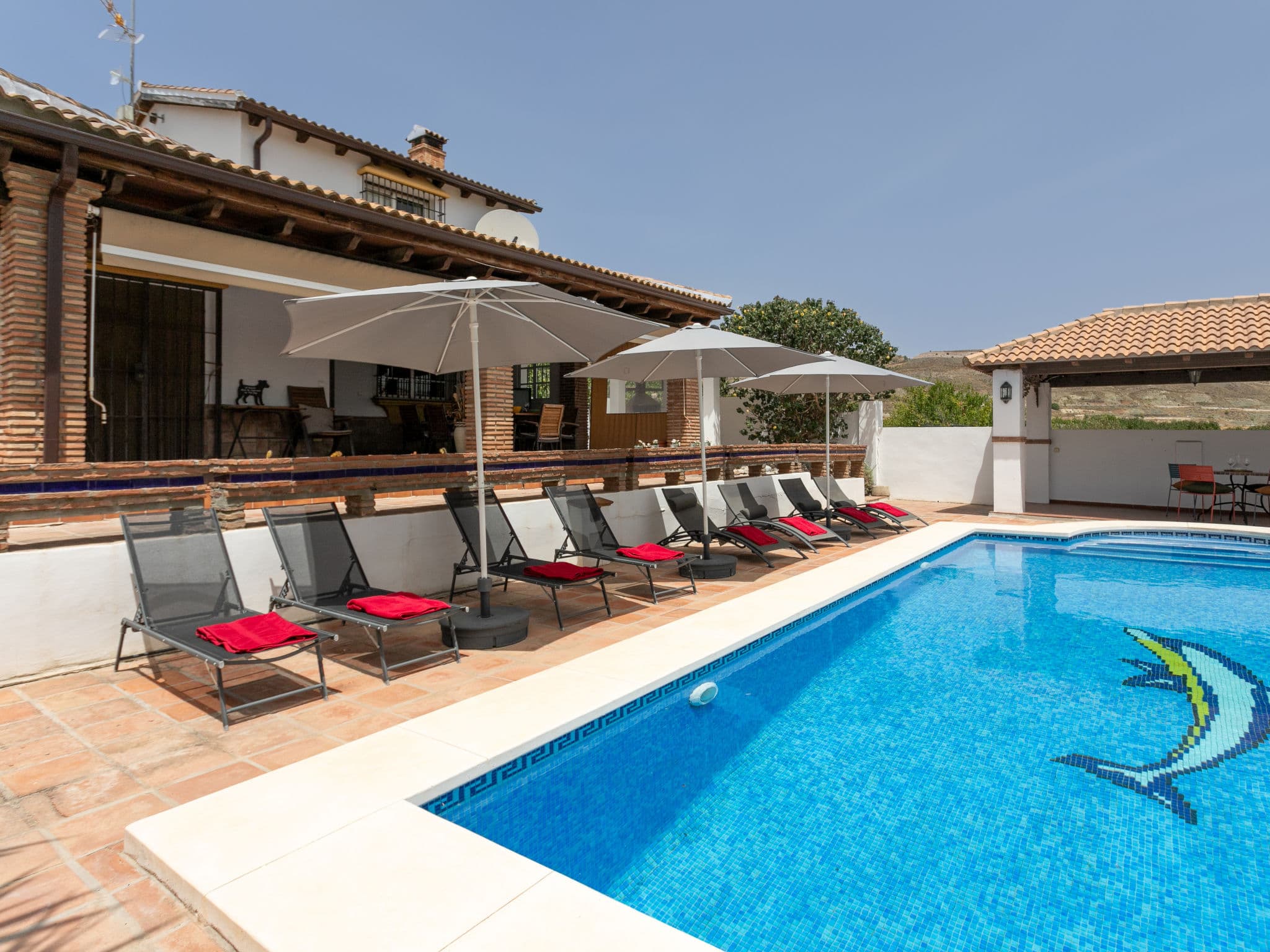 Pool Outdoor