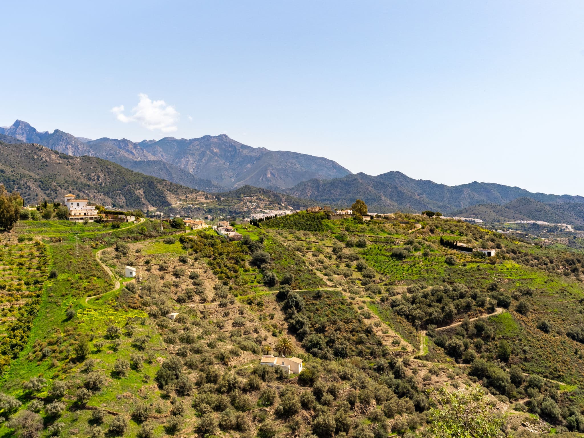 View