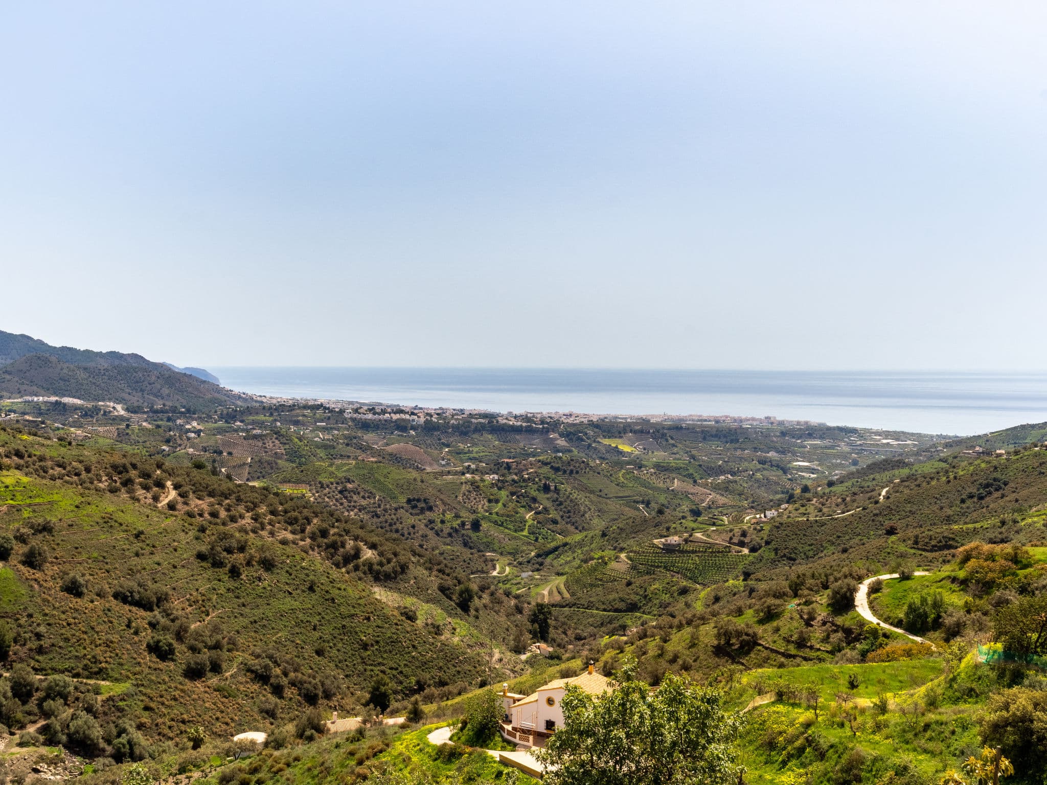 View