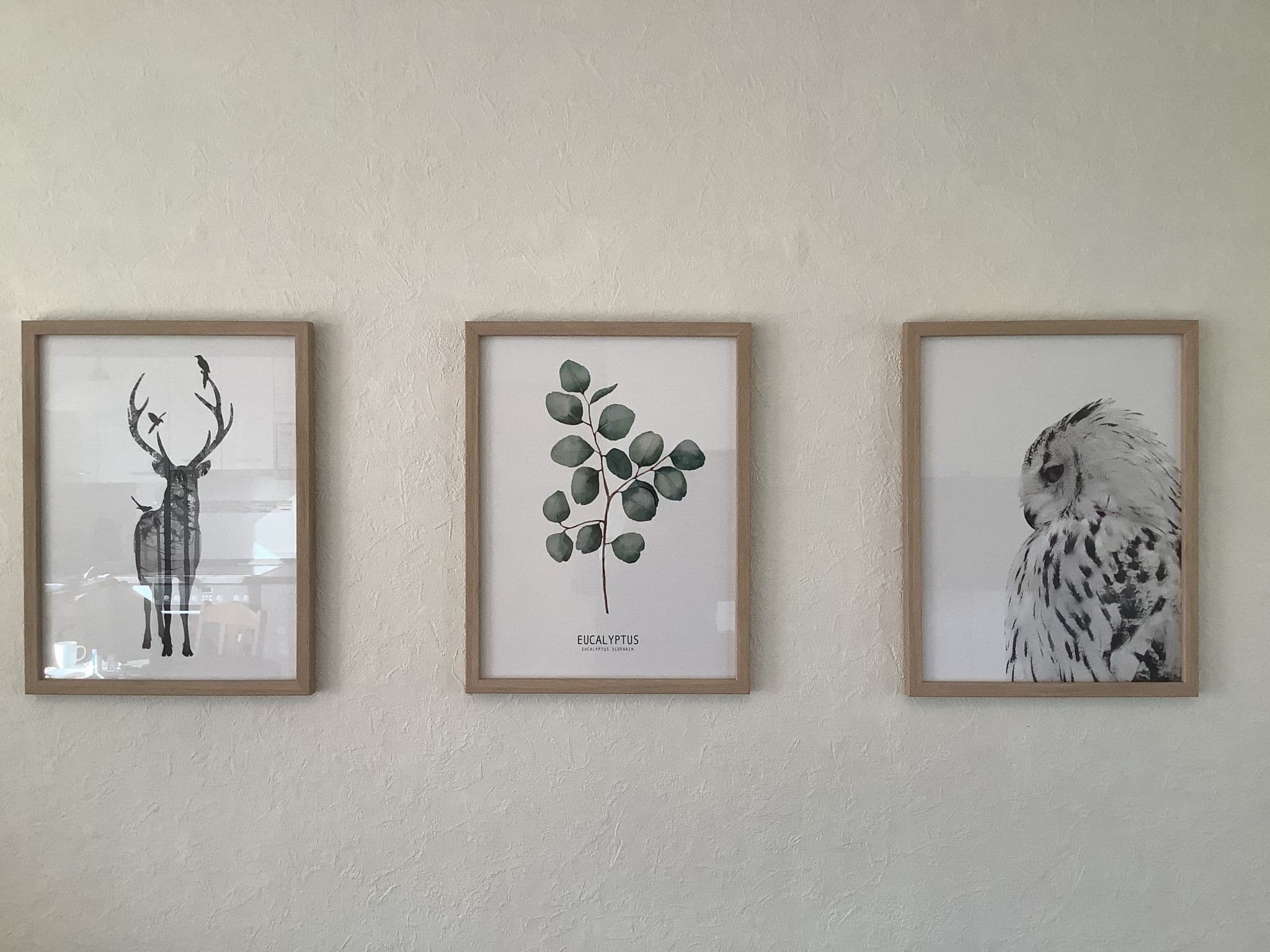 Gallery Image 19