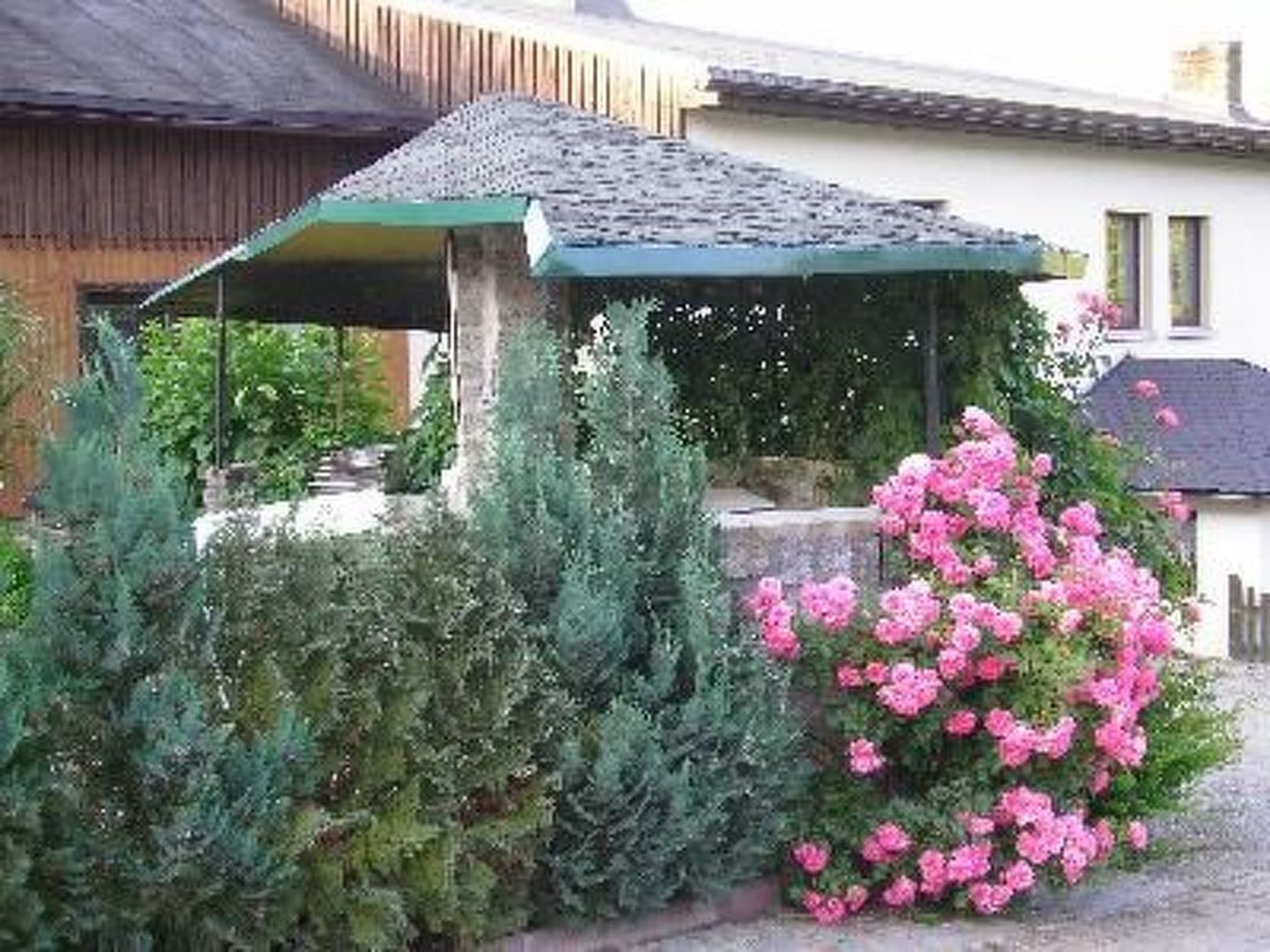 Gallery Image 11