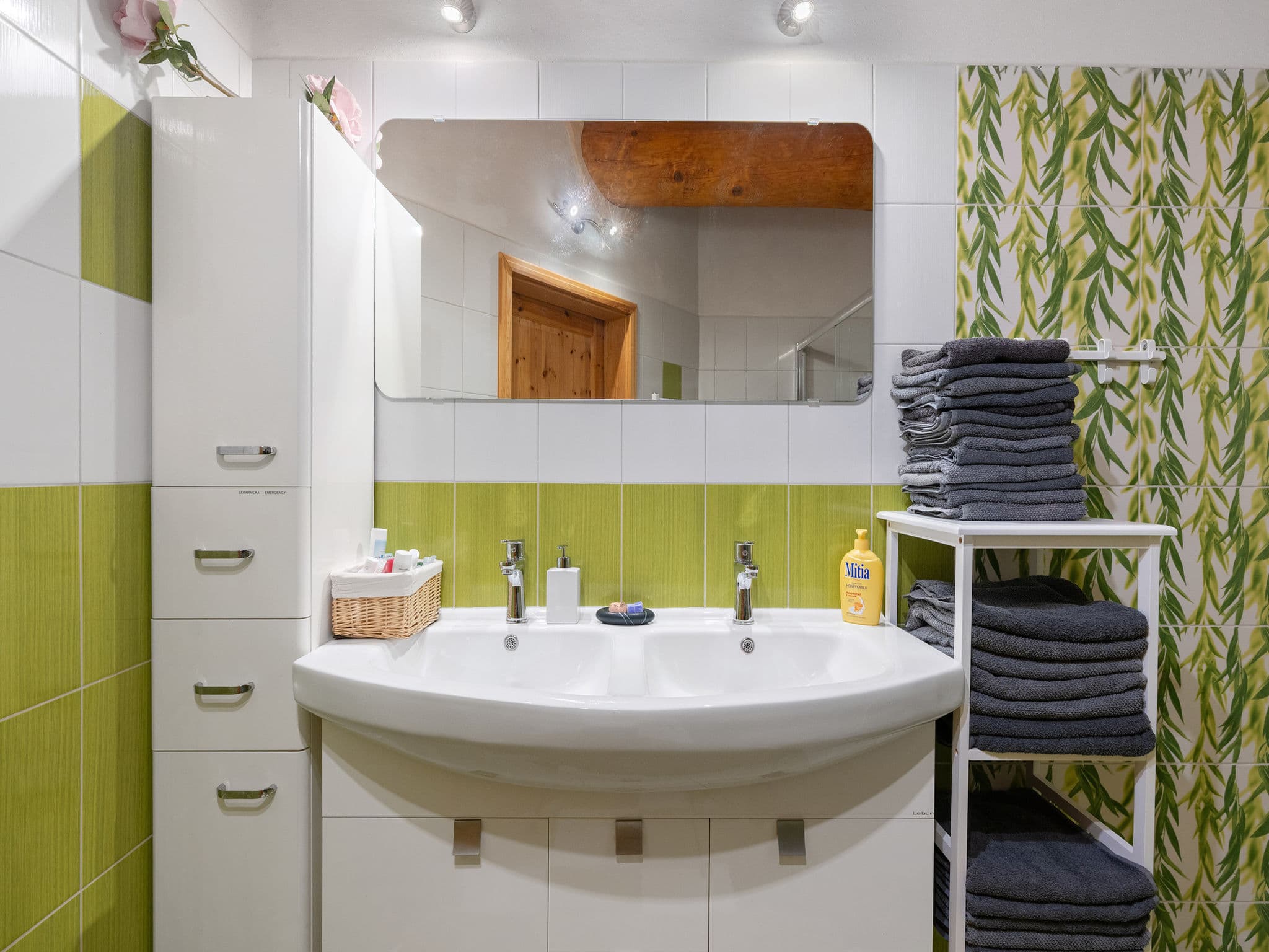 Bathroom / Wellness