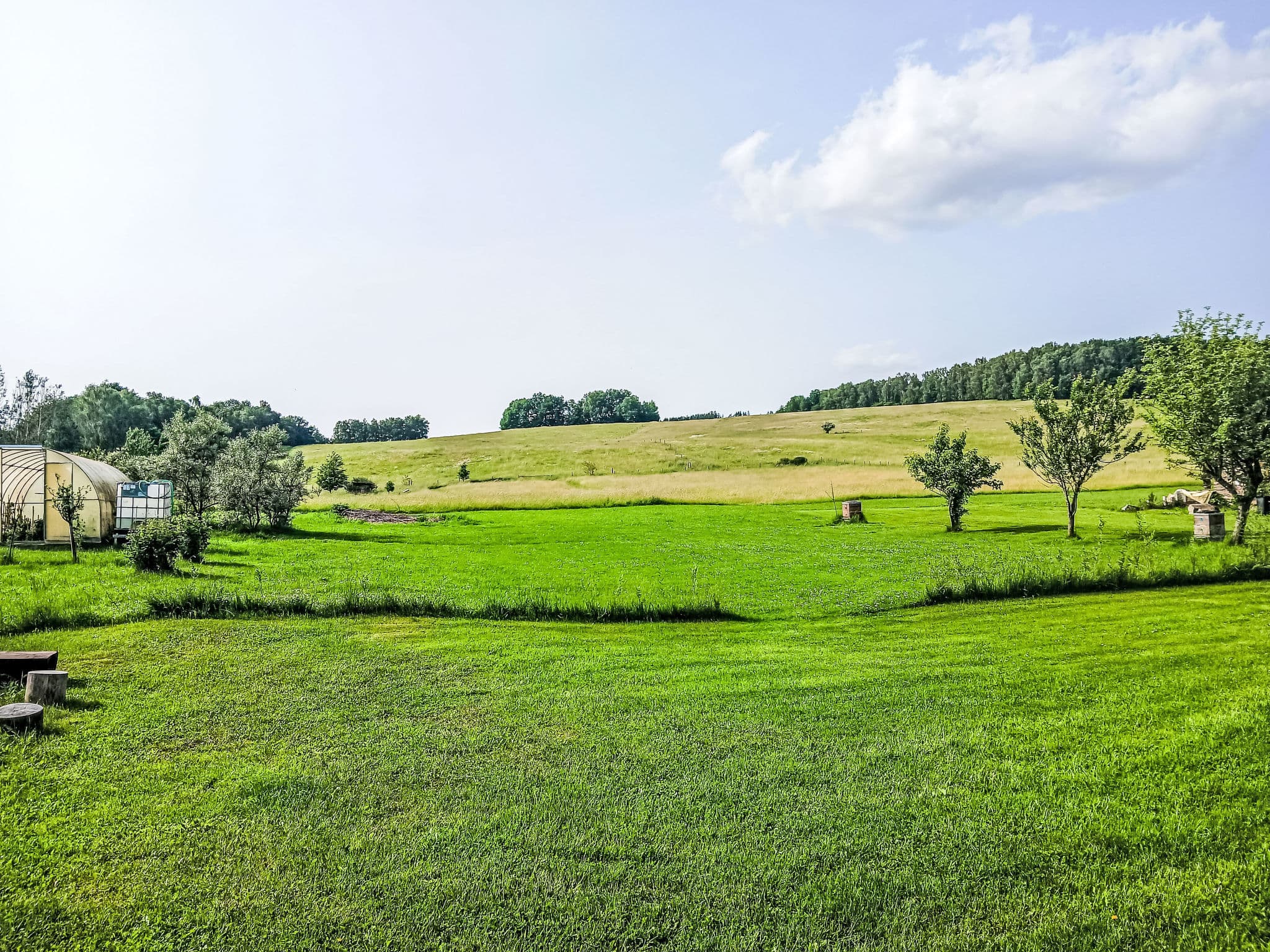 Place