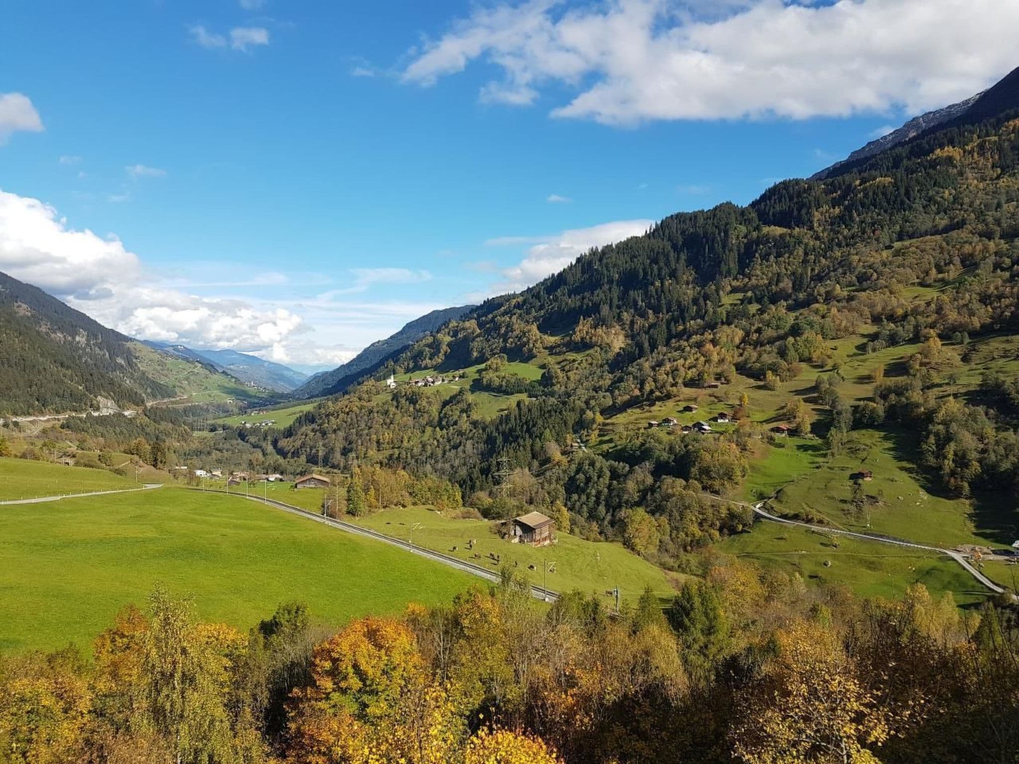 View