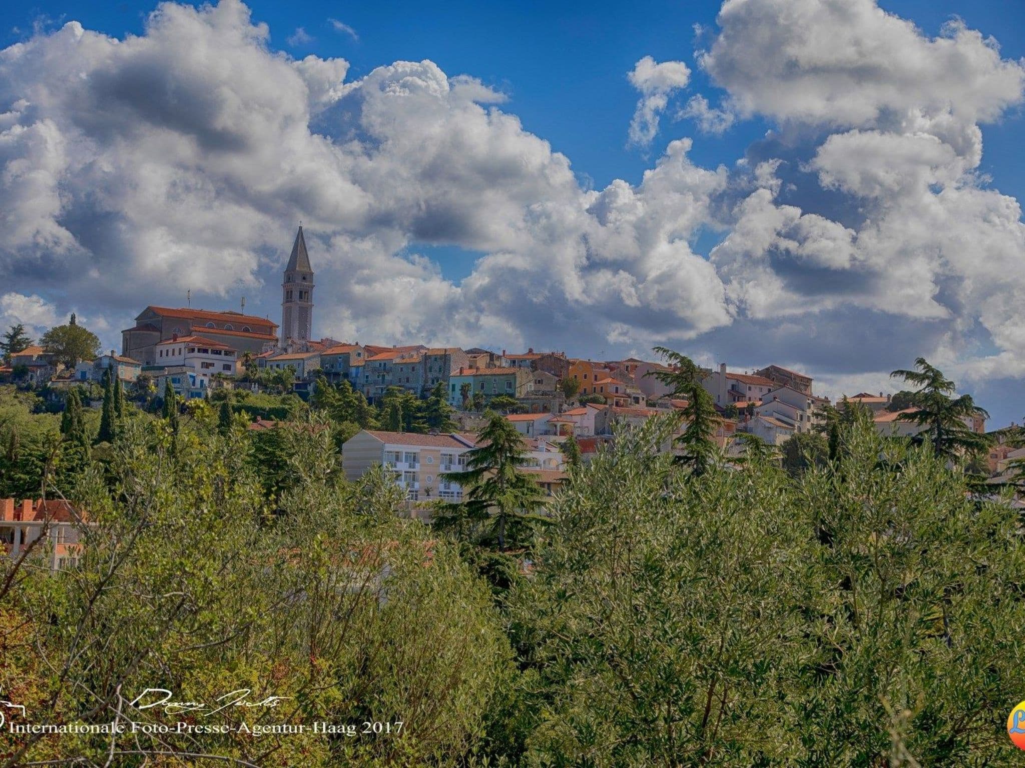 View