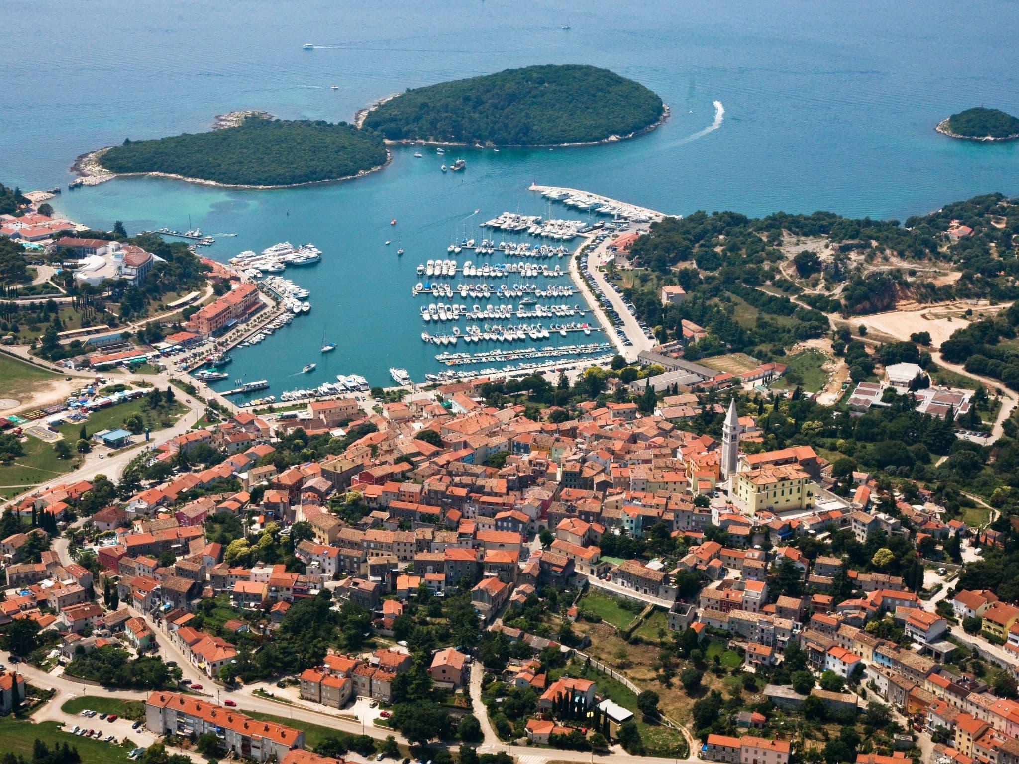 View