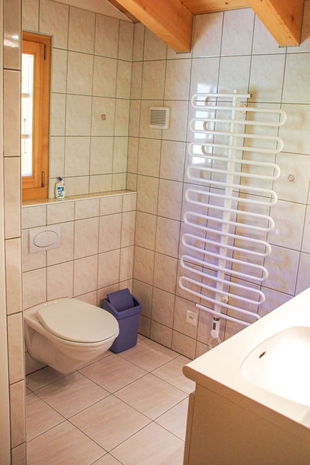 Bathroom / Wellness