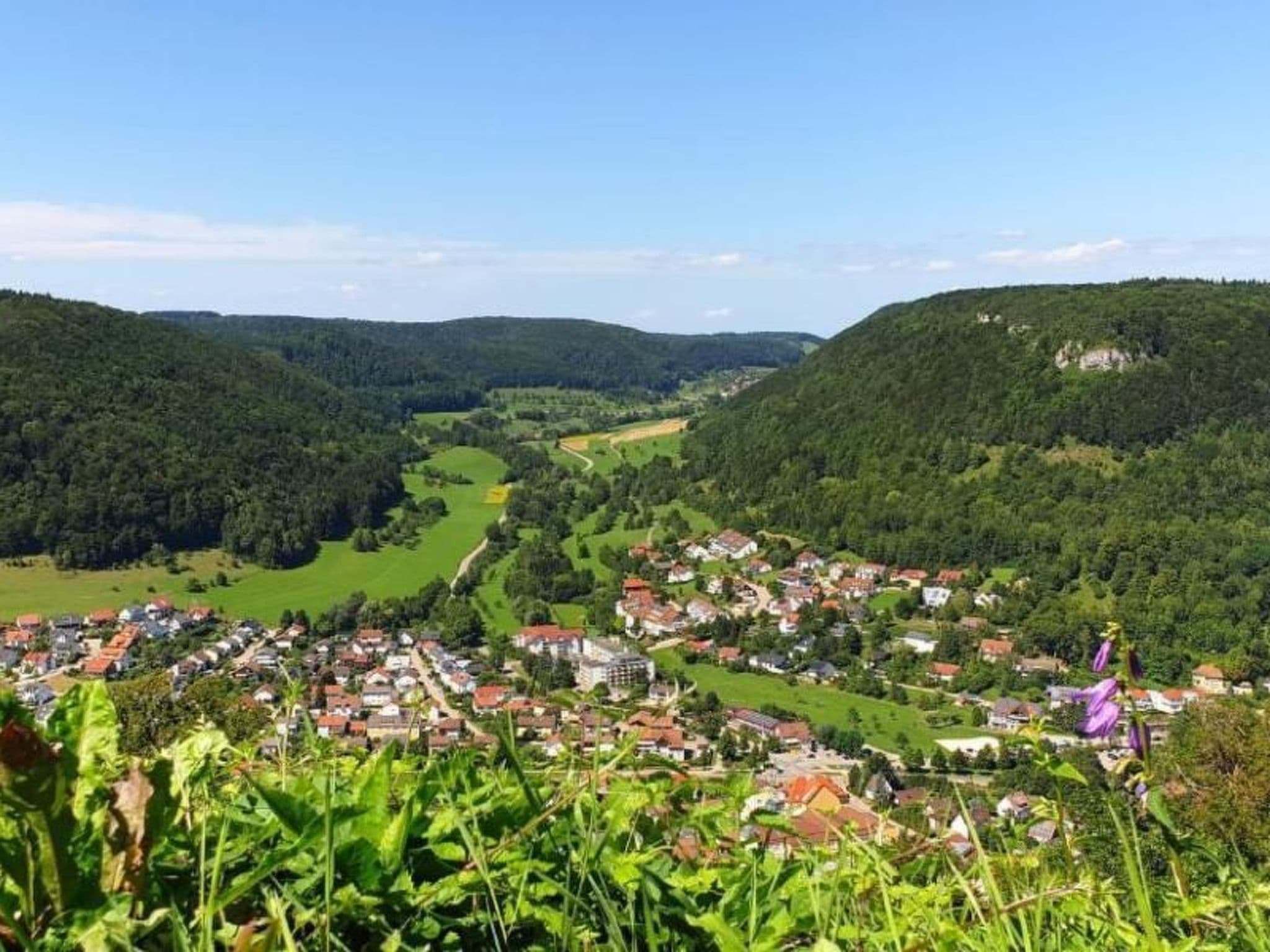 View