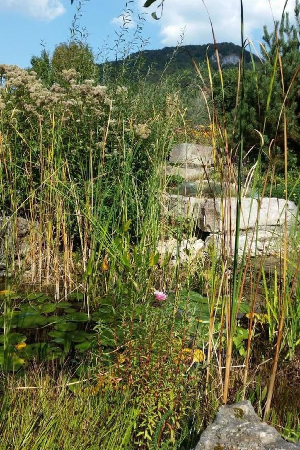 Gallery Image 29