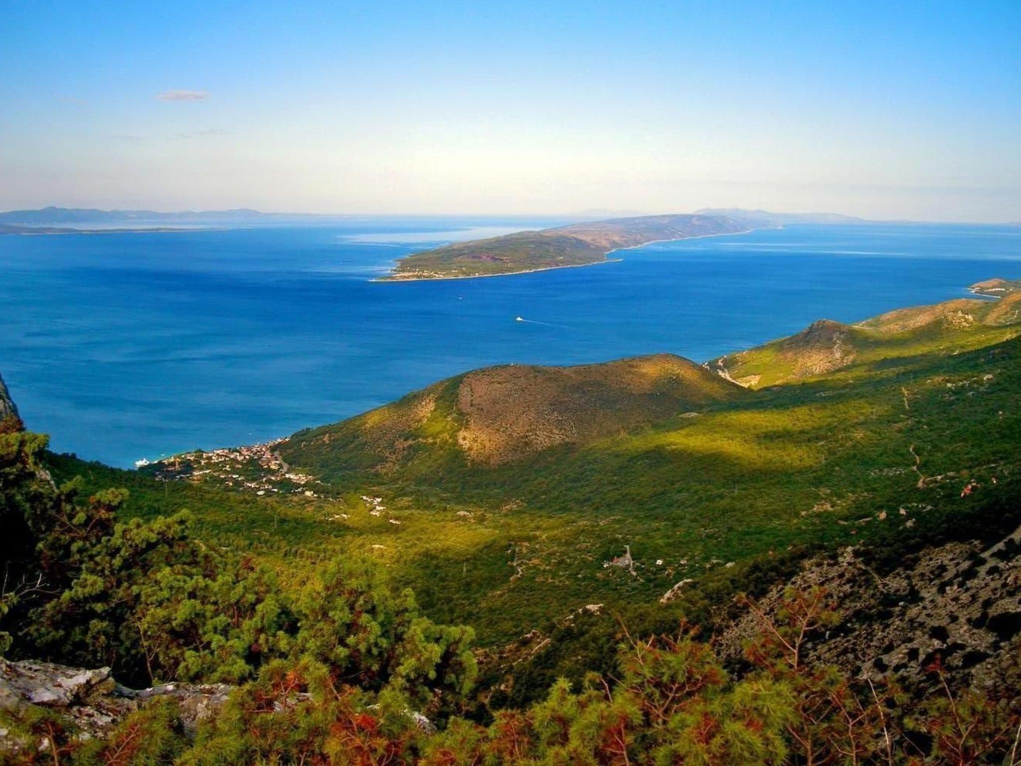 View