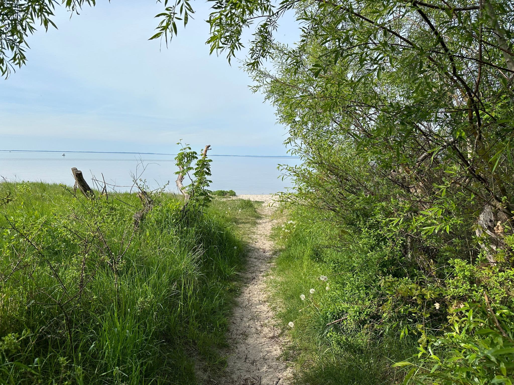 Gallery Image 15