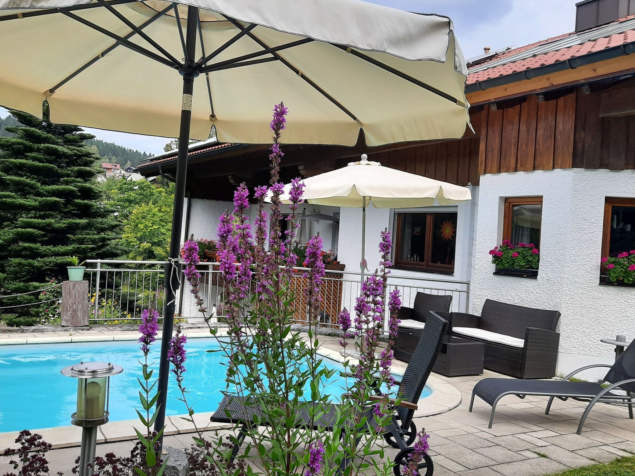 Pool Outdoor