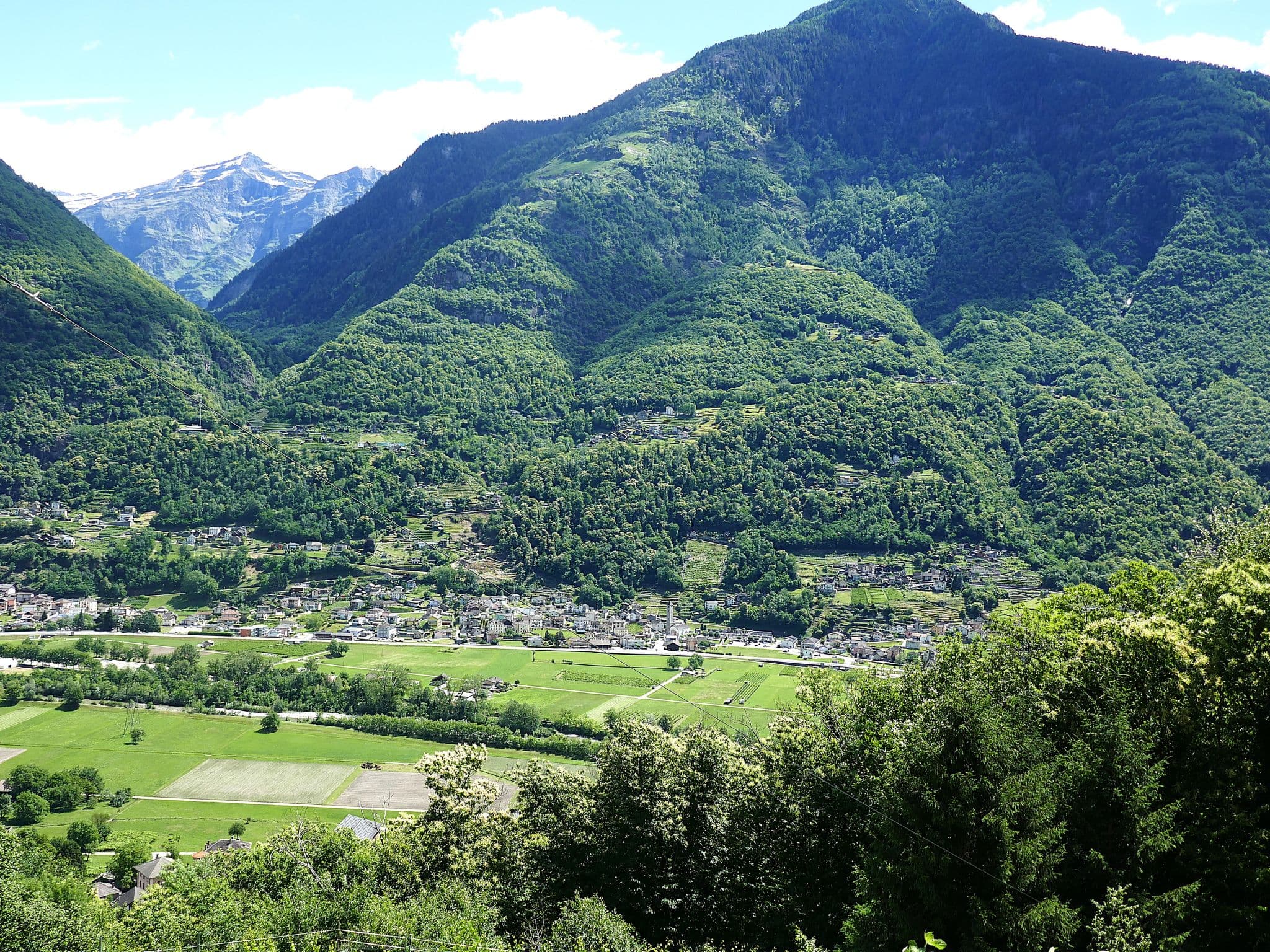 View