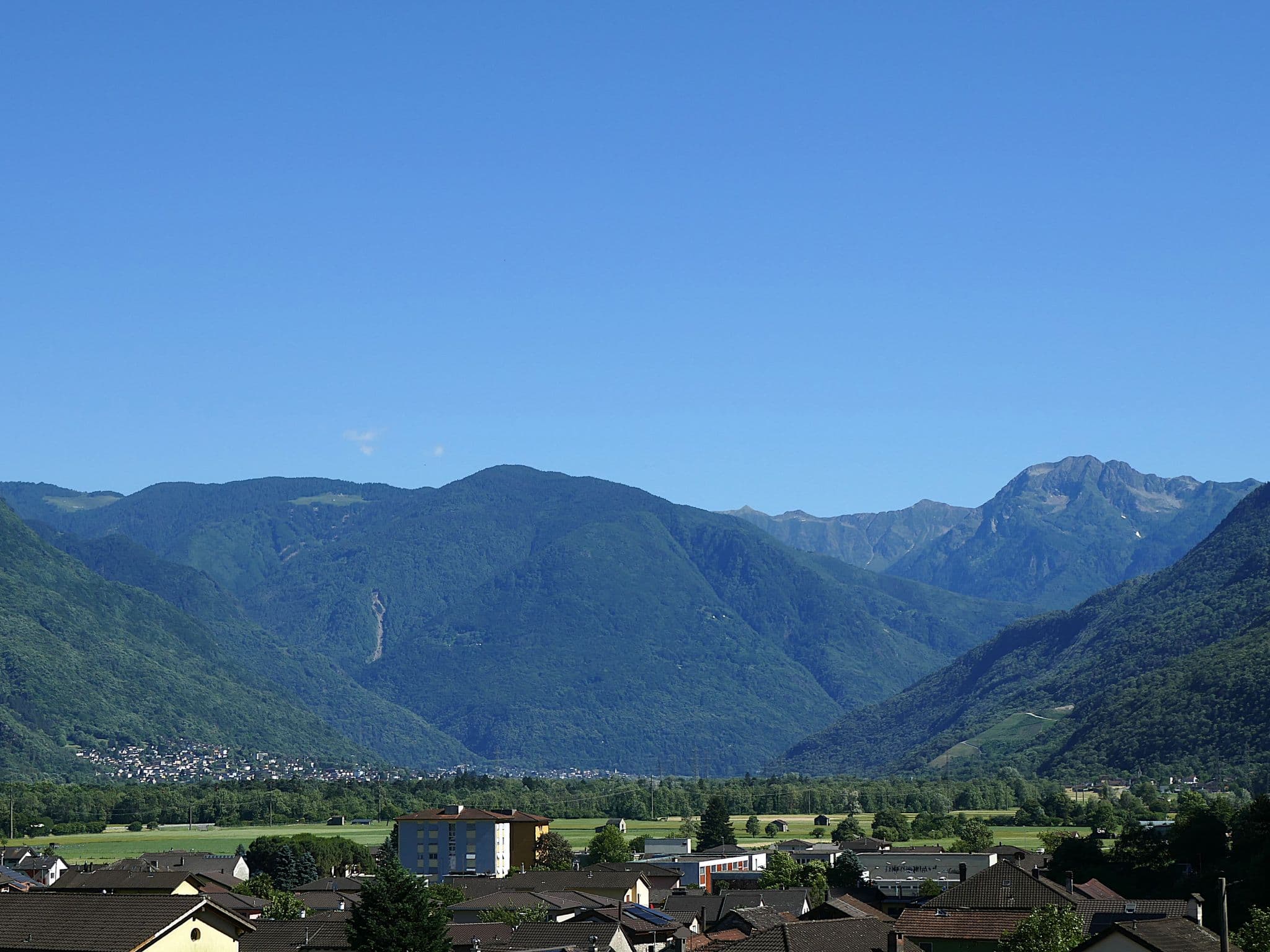 View