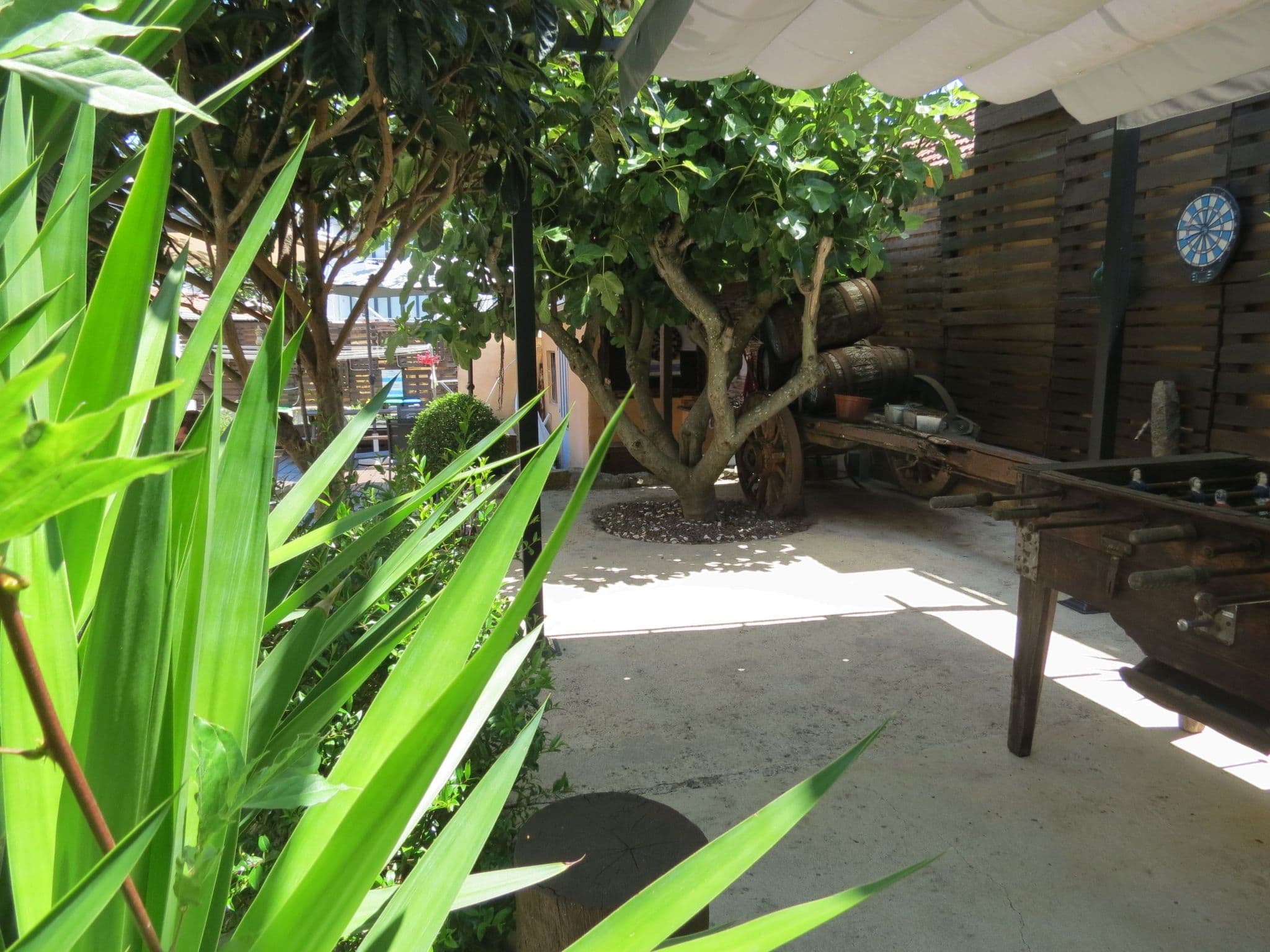 Terrace