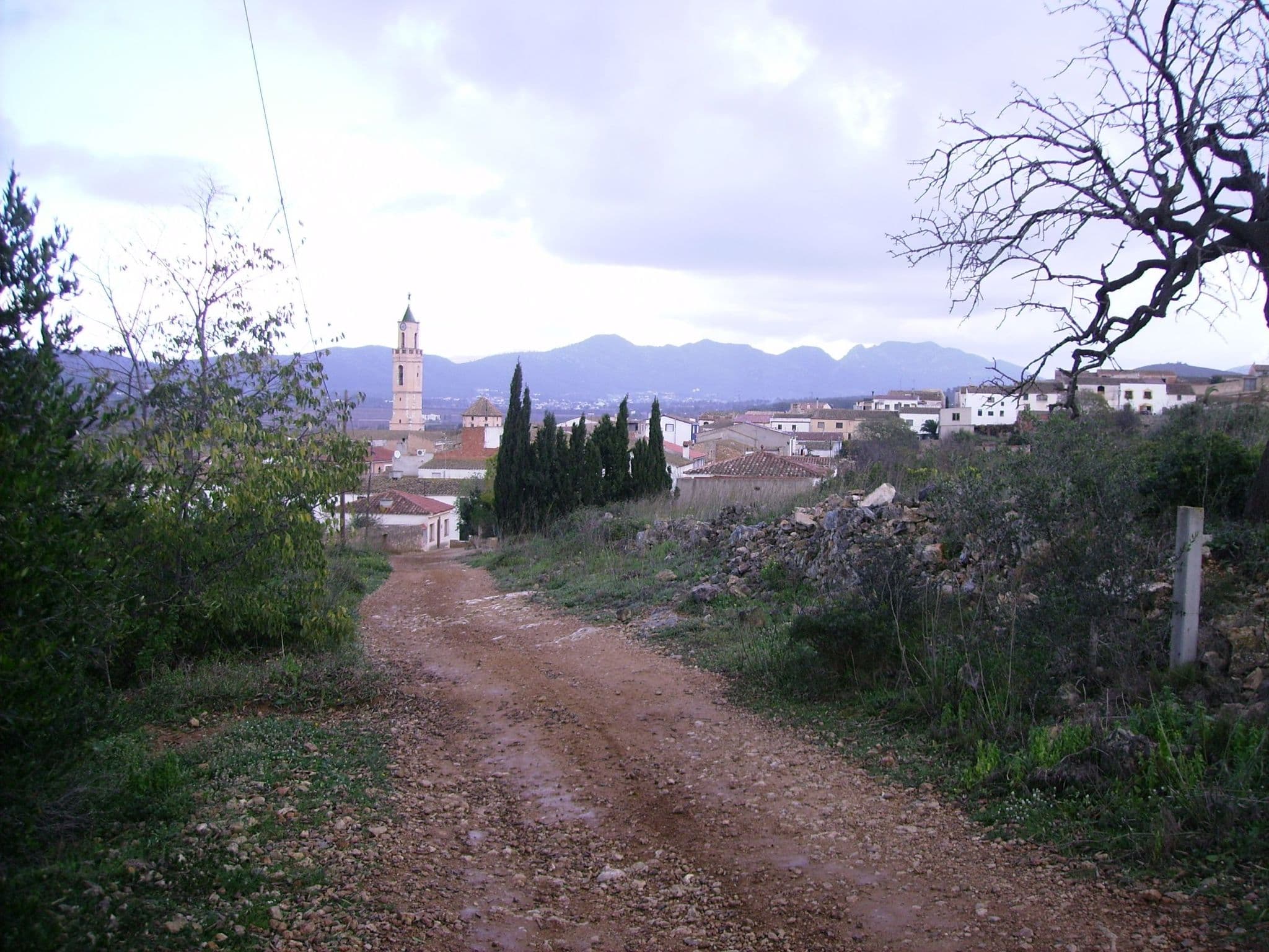 Gallery Image 43