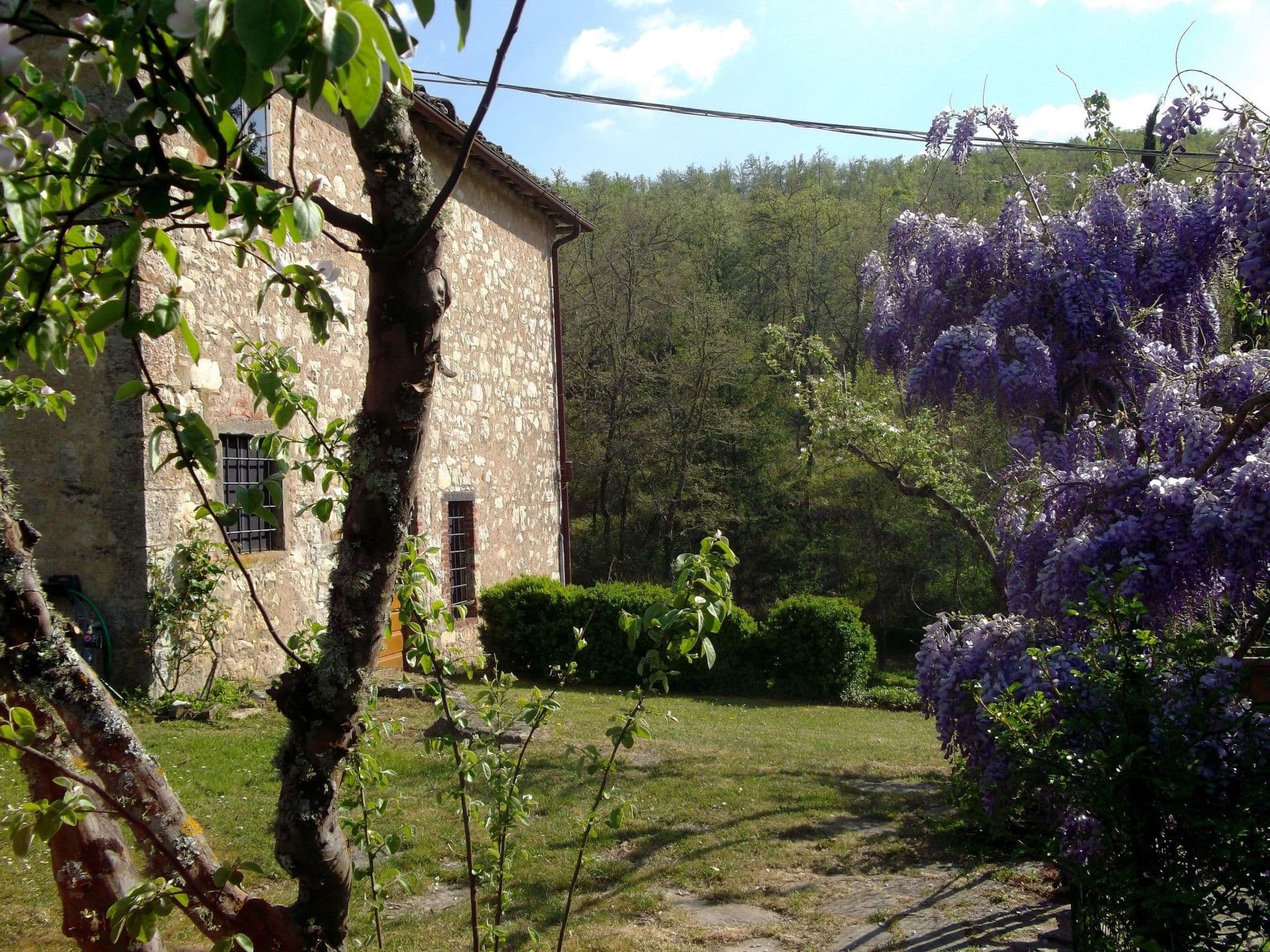 Gallery Image 38