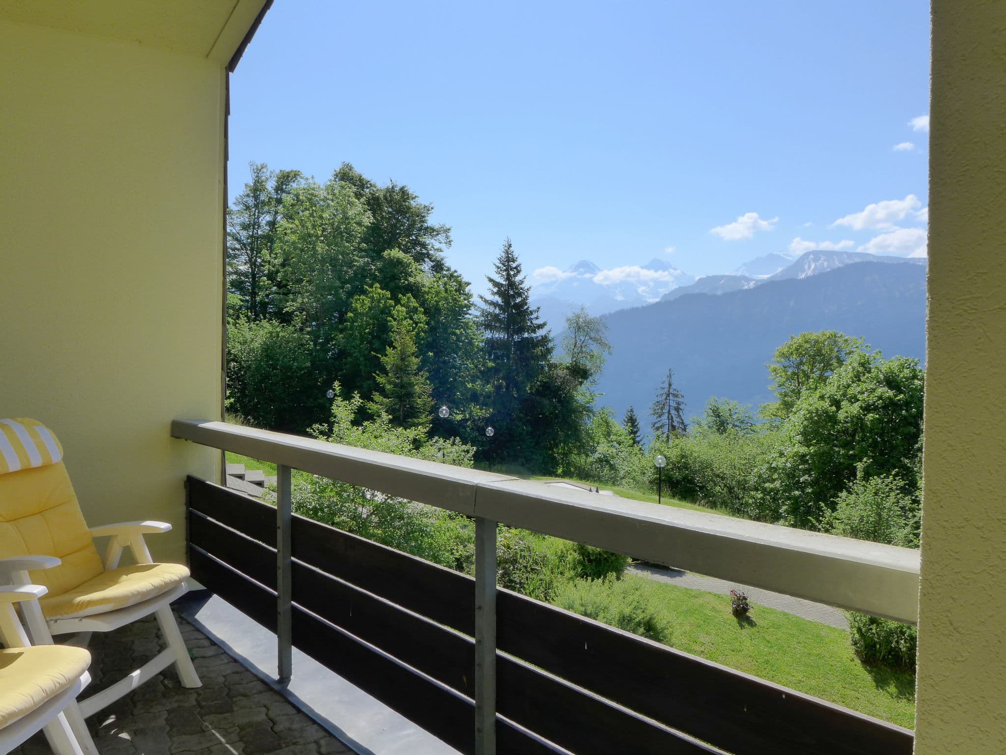View