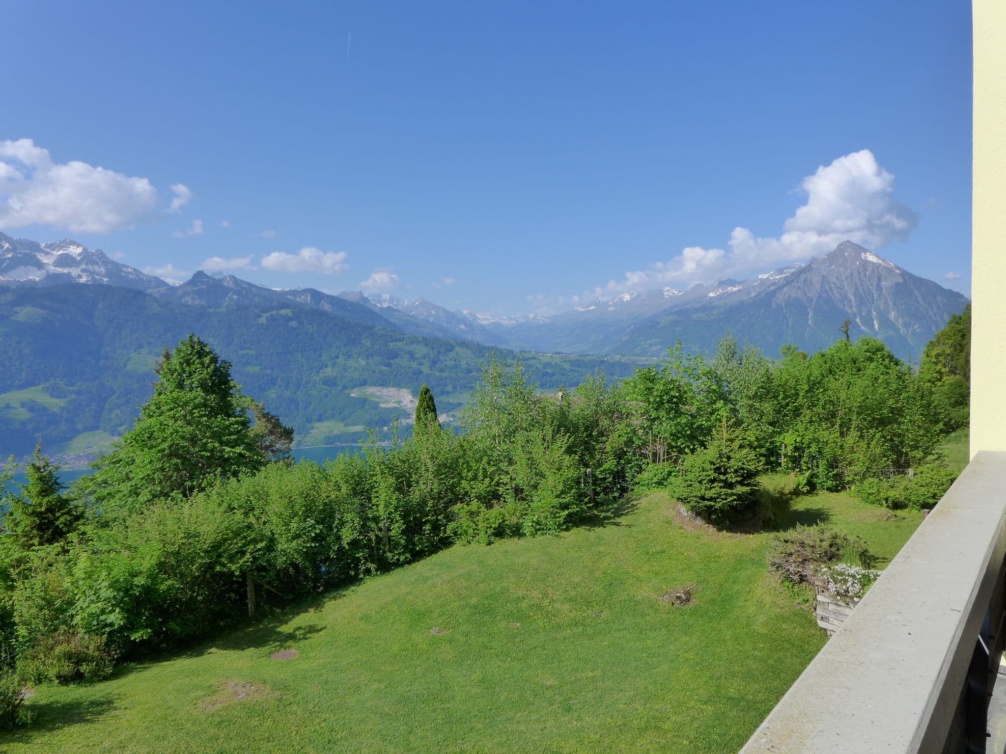 View