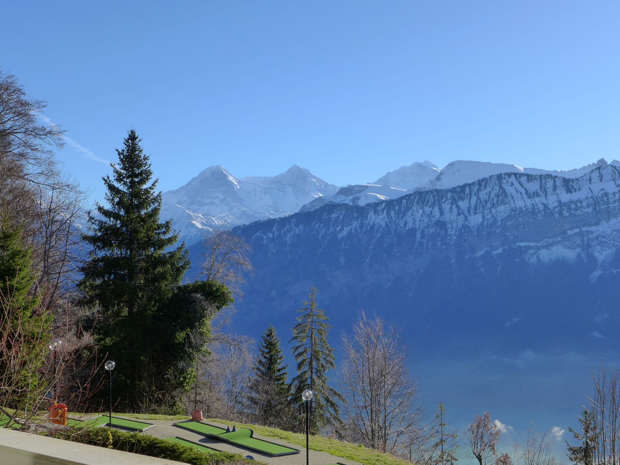 View