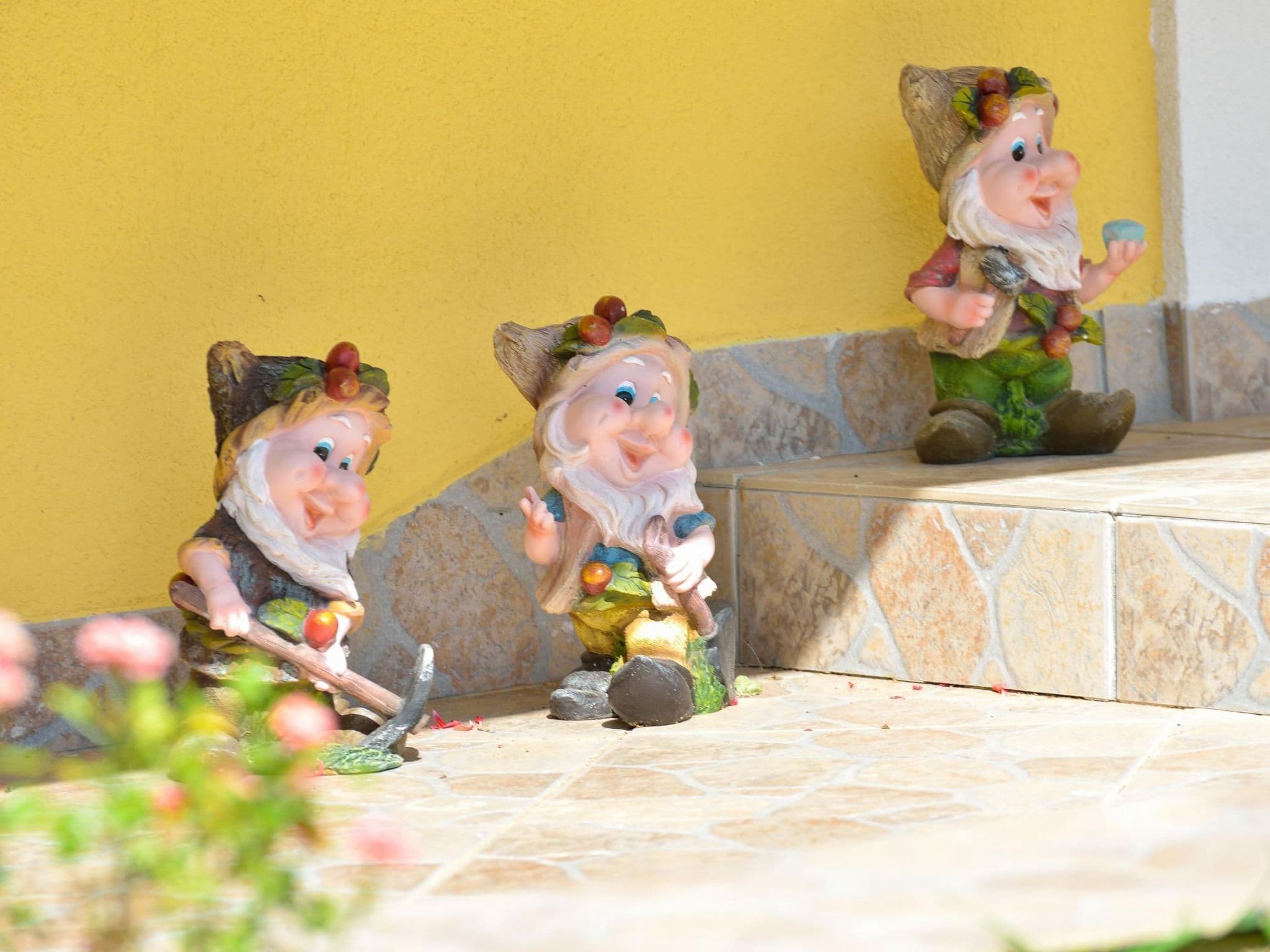 Gallery Image 29