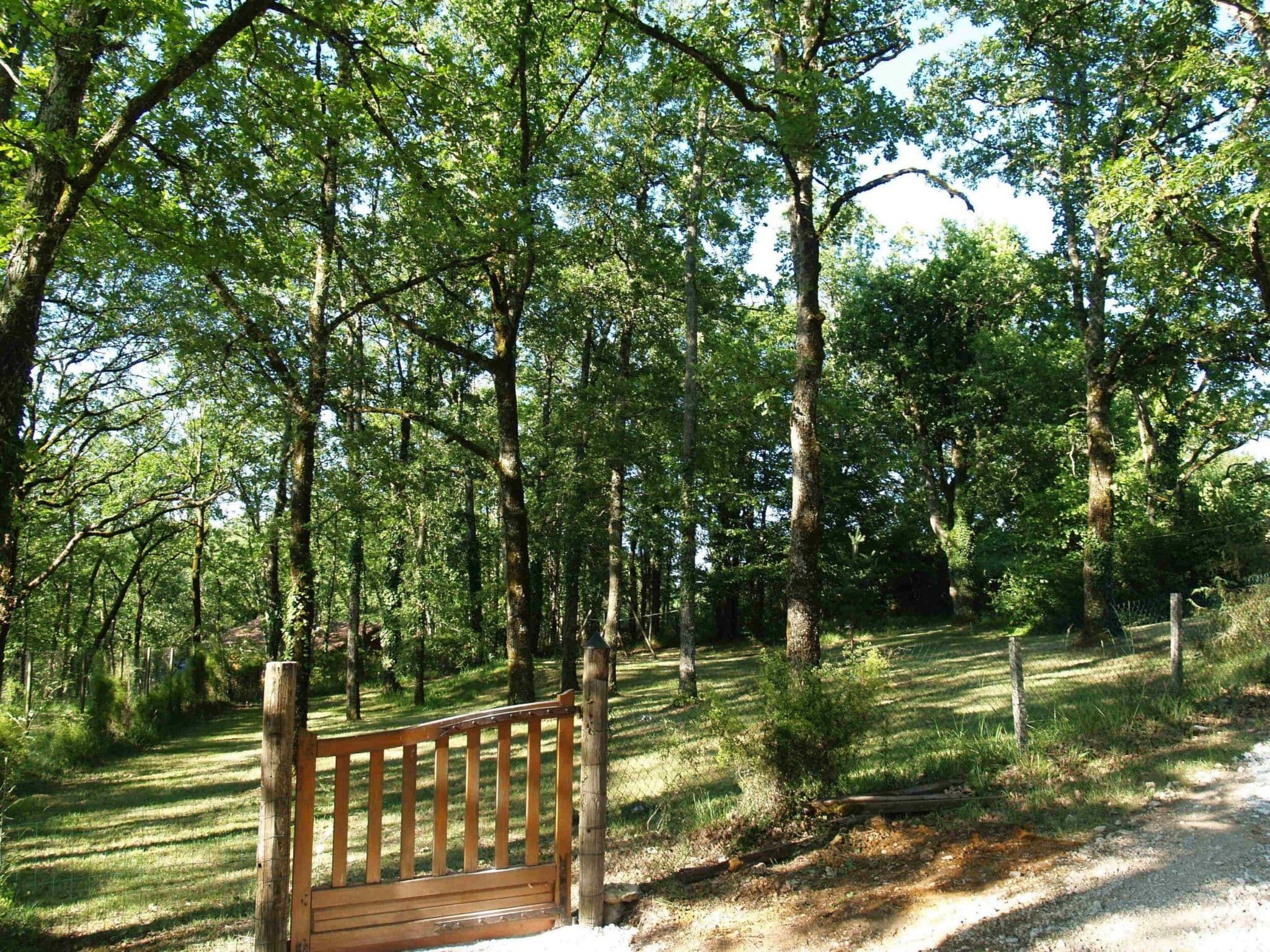 Outdoor