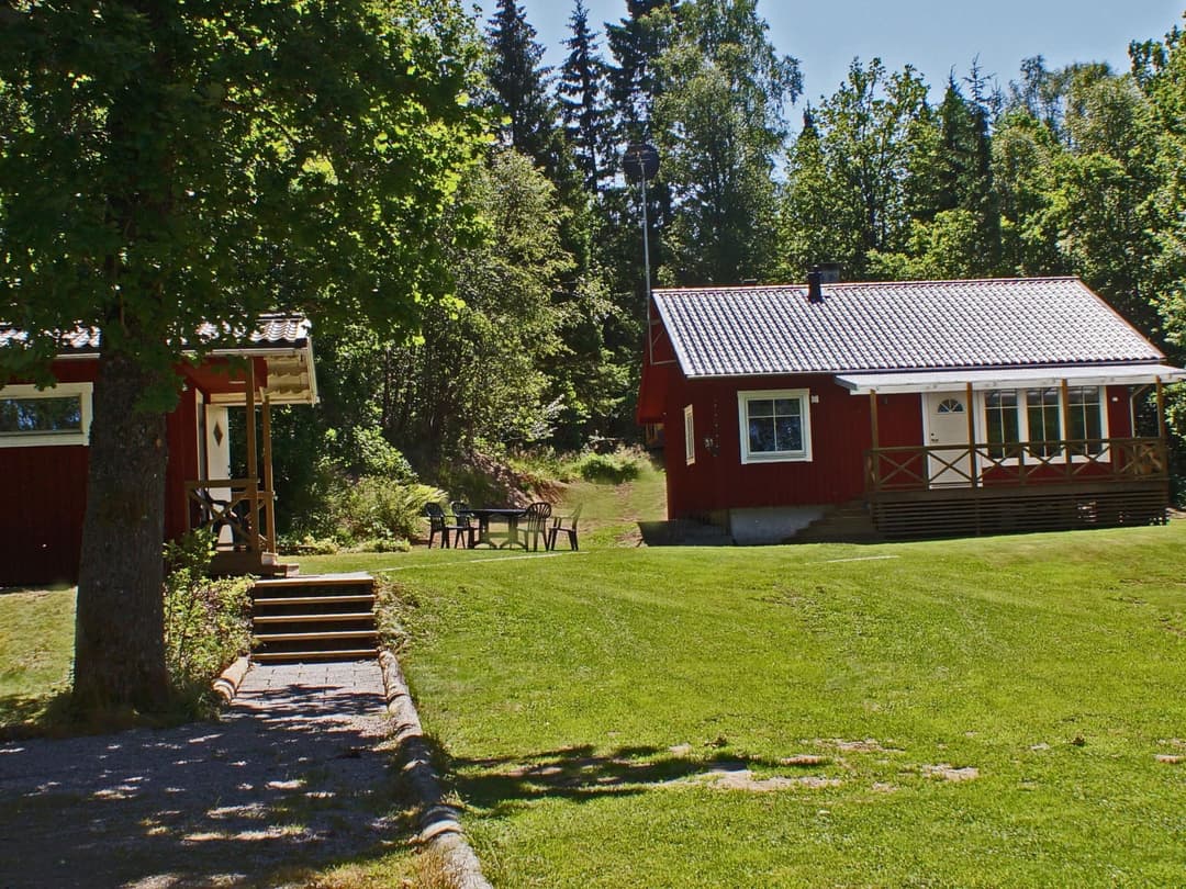 Large Image