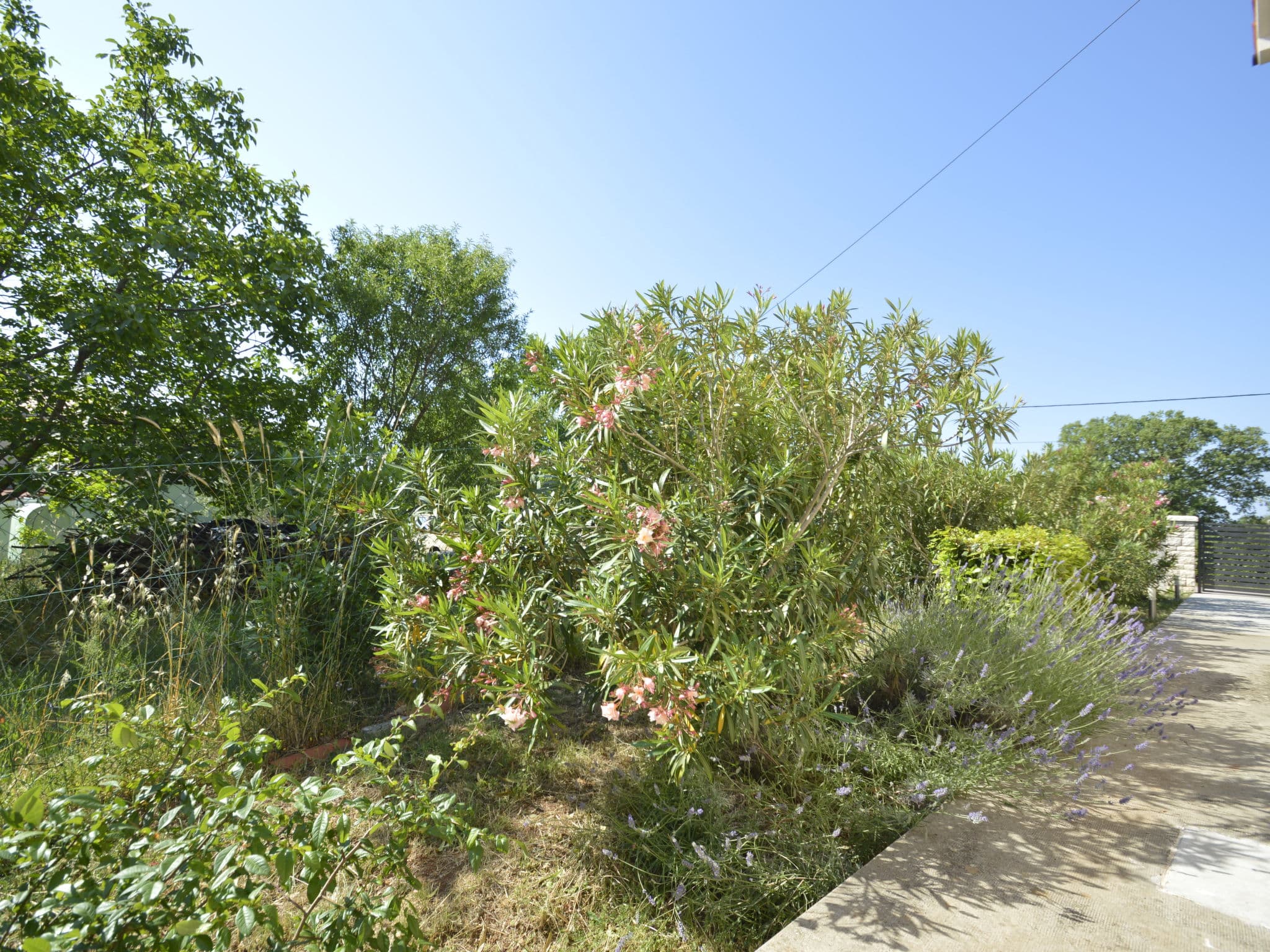 Outdoor