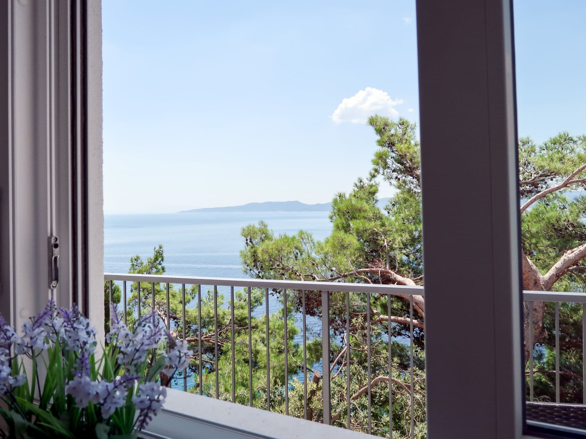 View