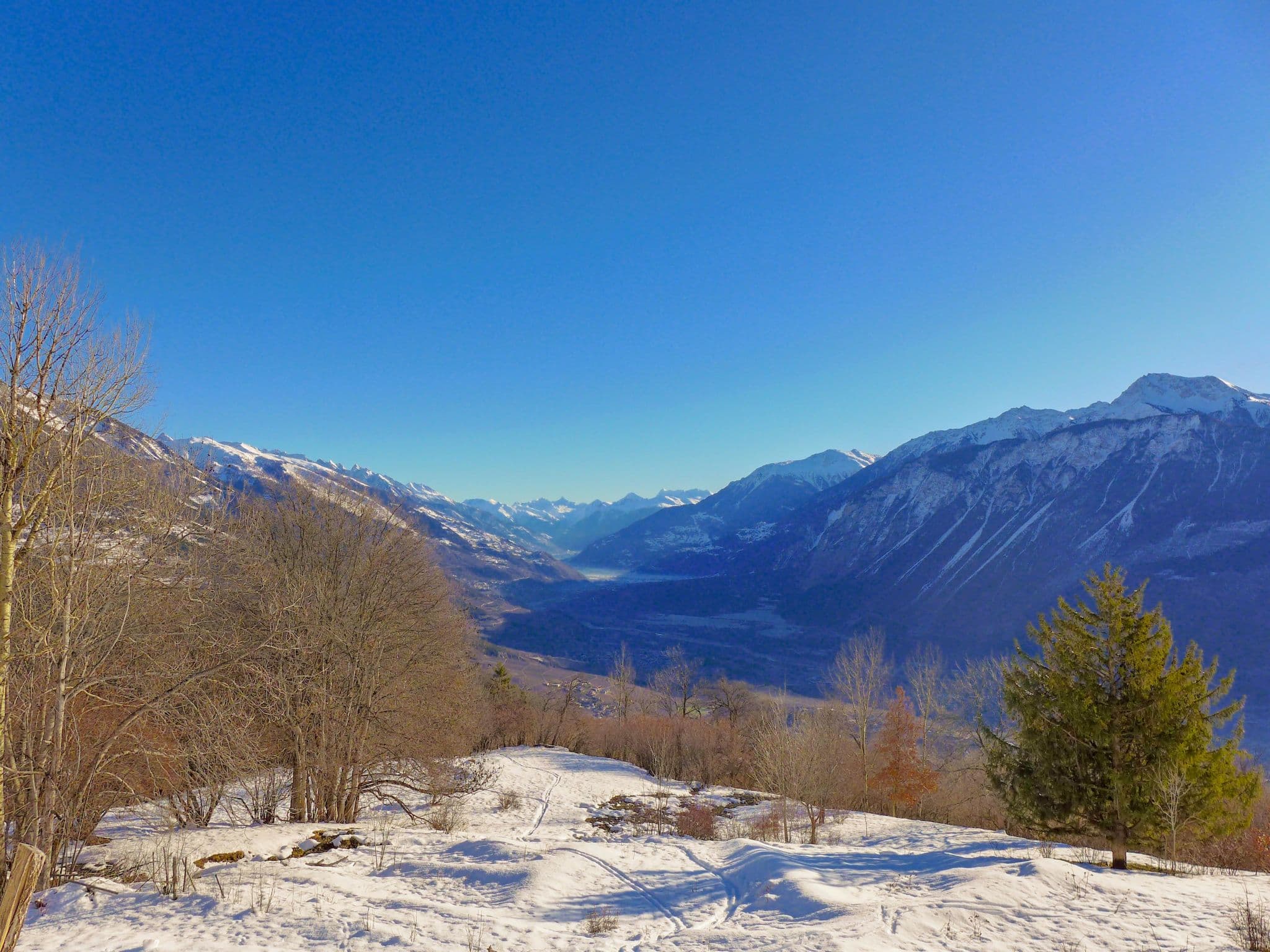 View