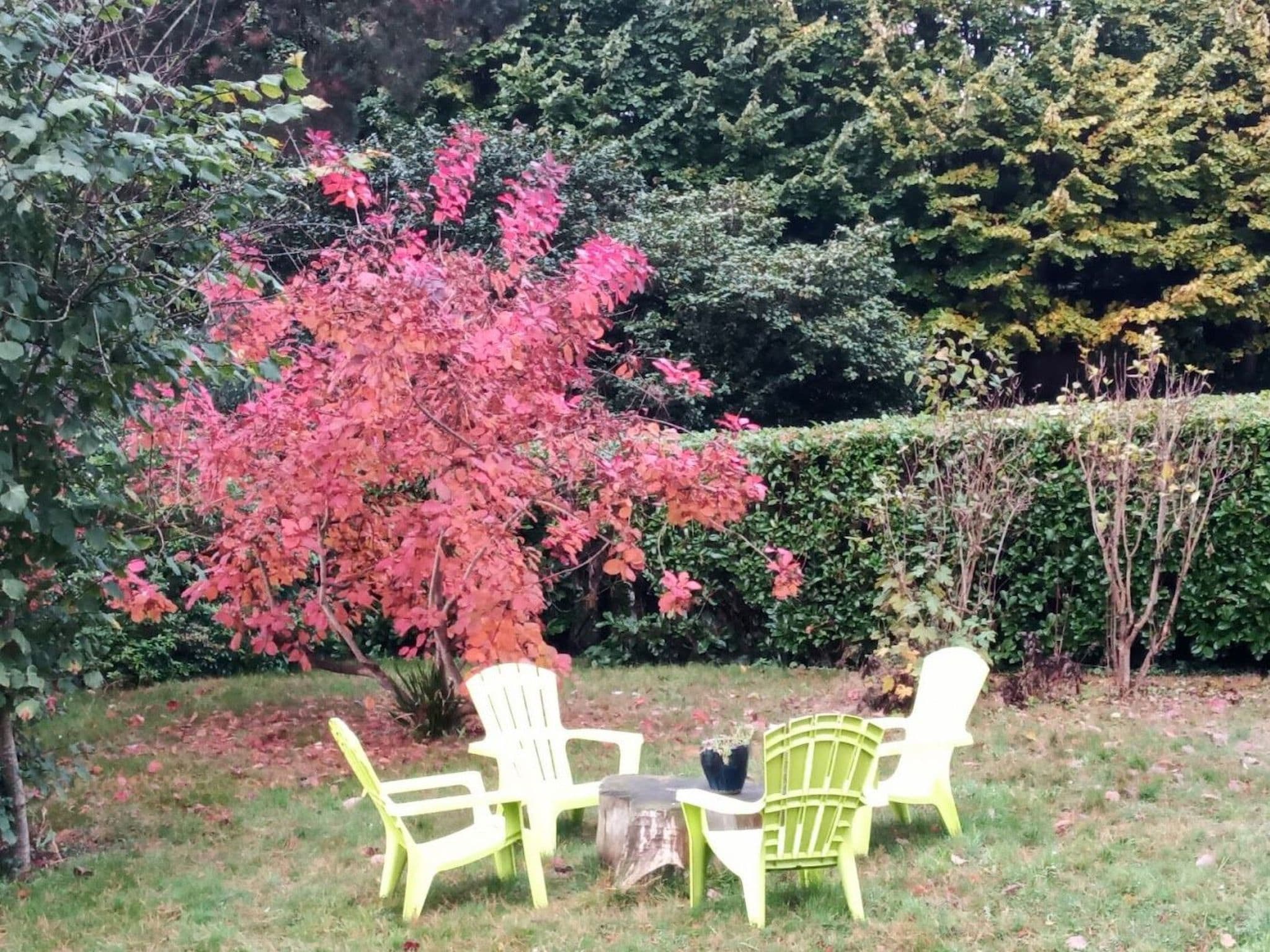Gallery Image 38