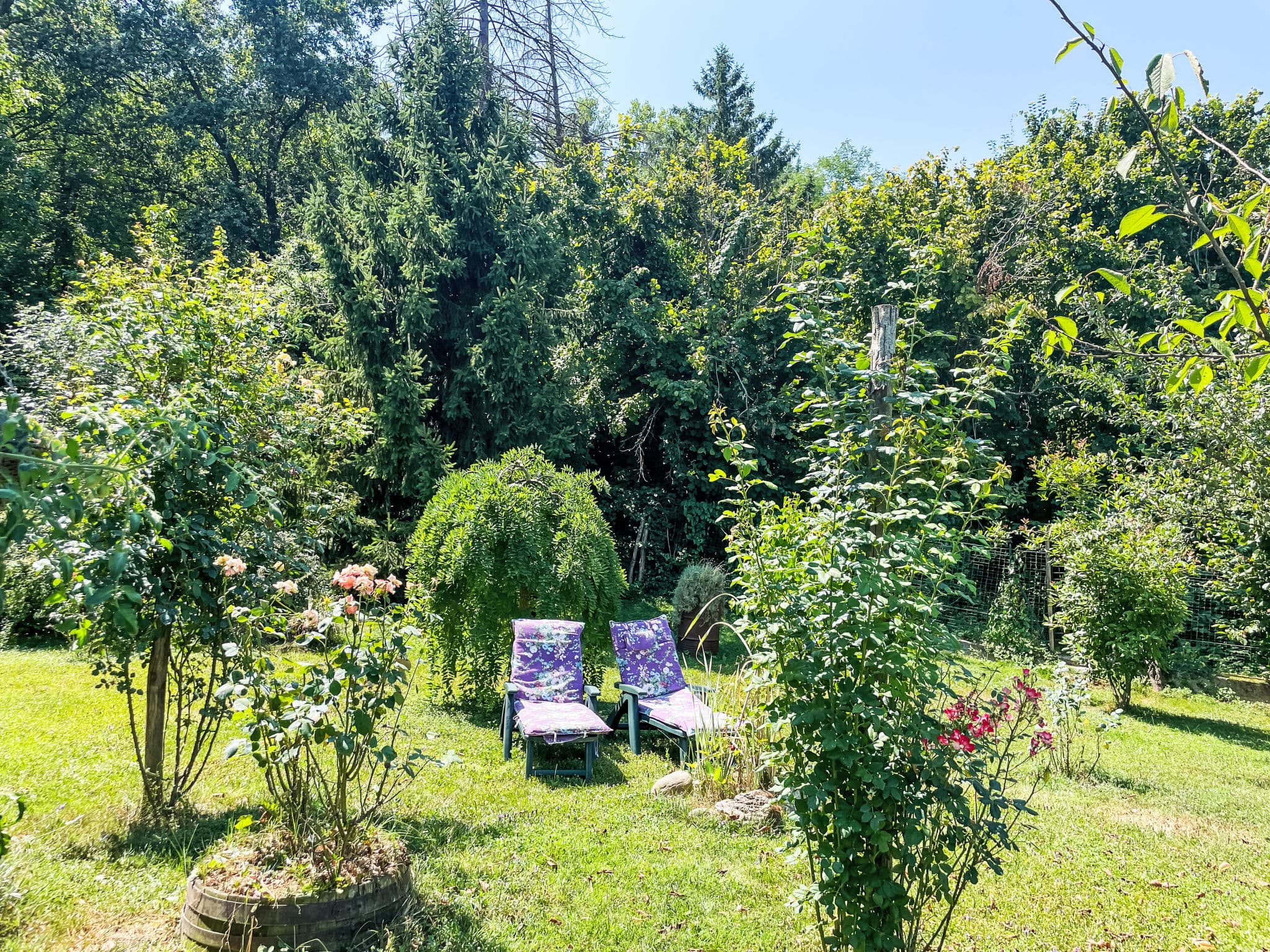 Outdoor