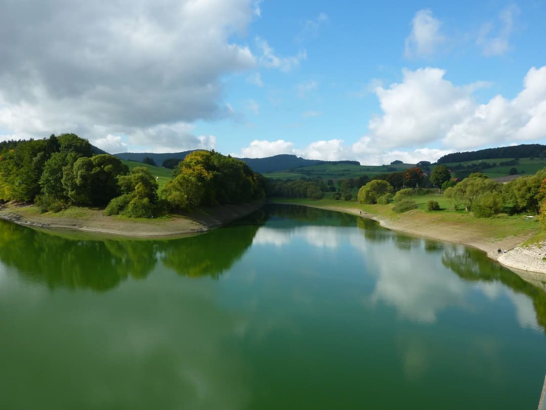 Large Image