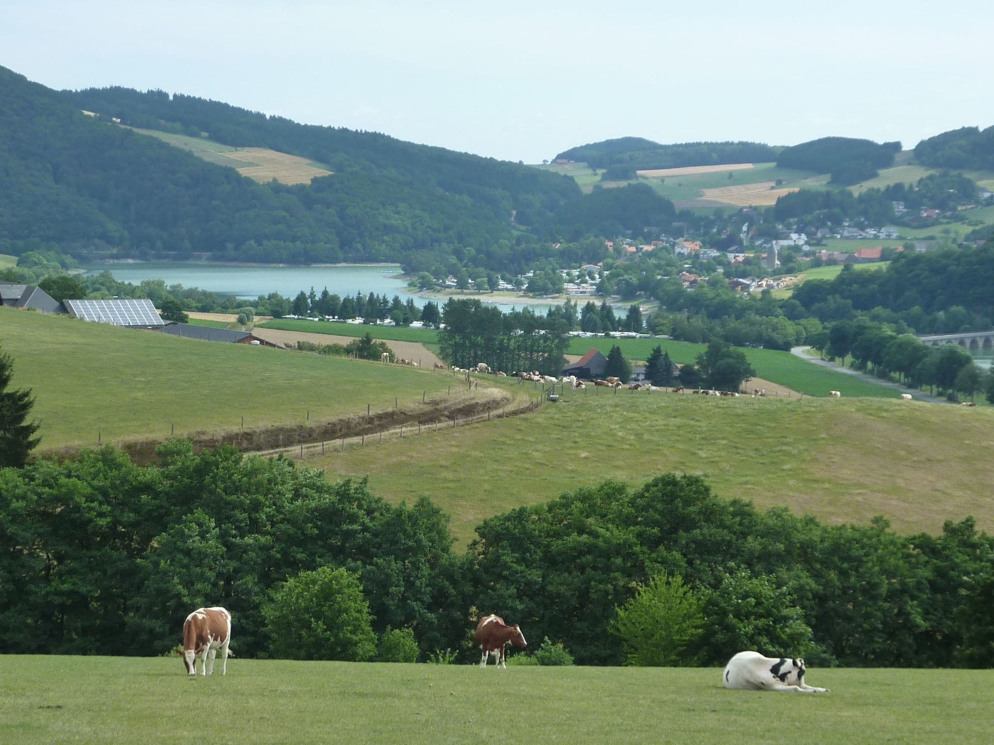 Place