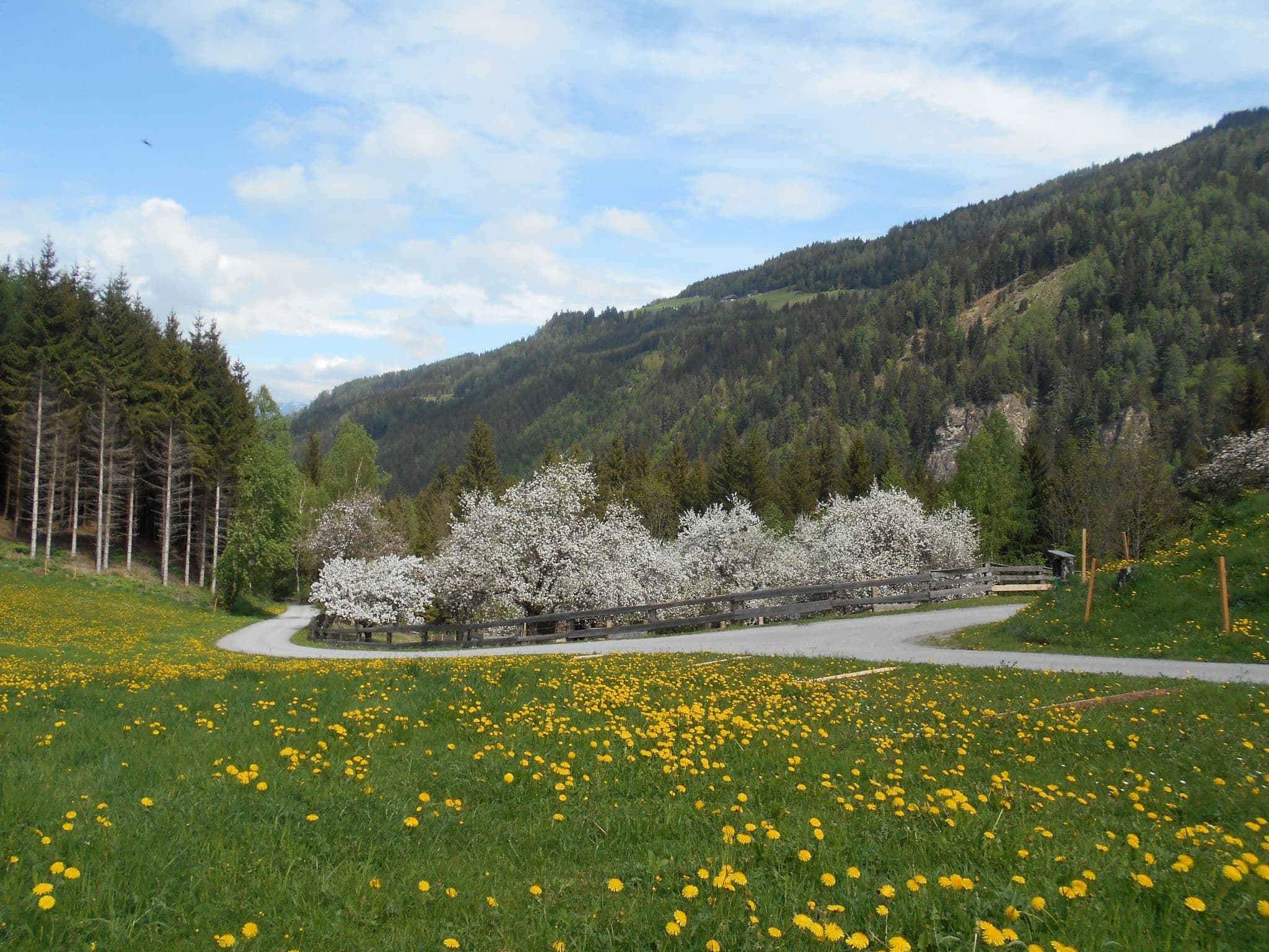 Gallery Image 28