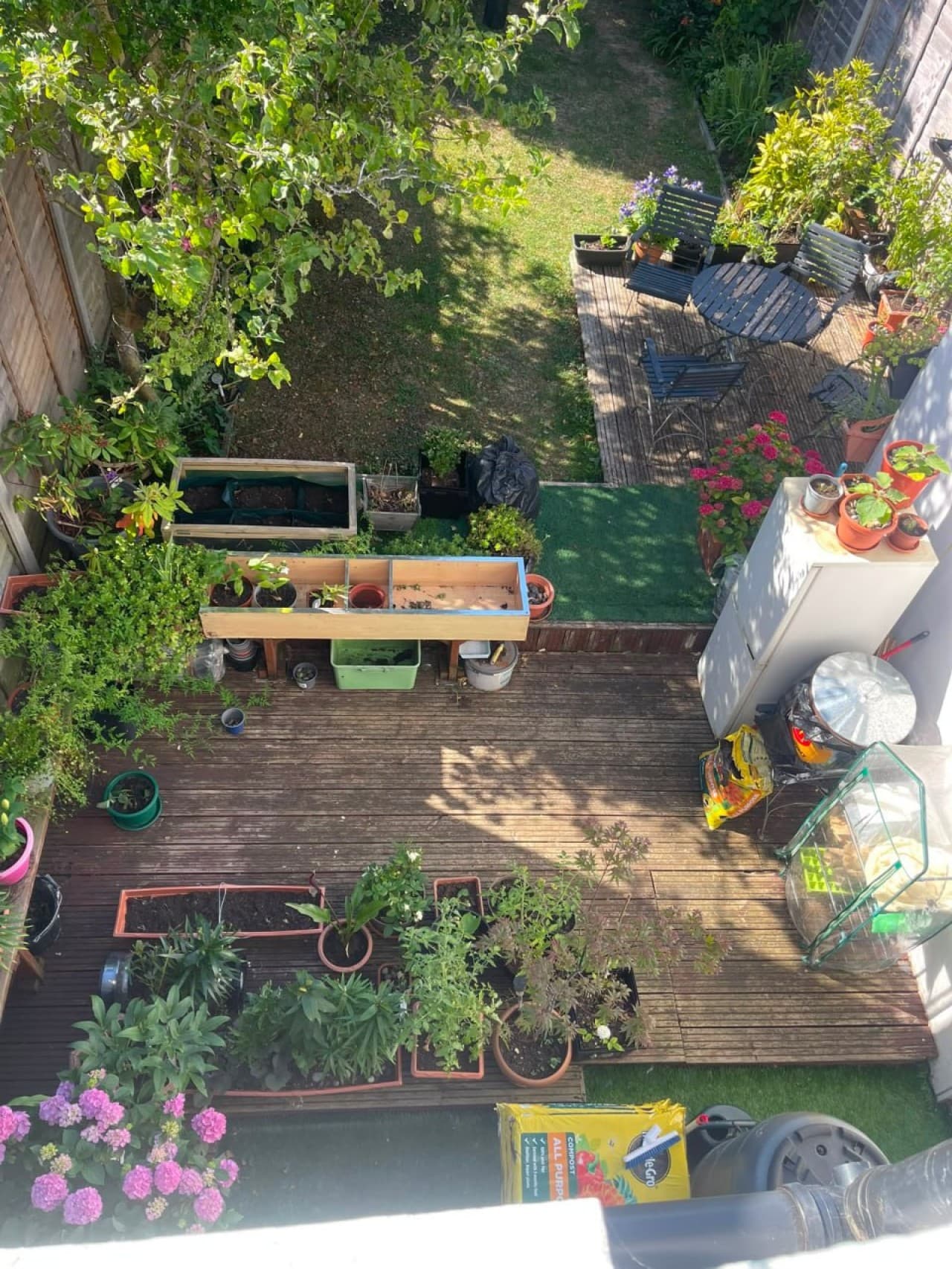 Garden — aerial view